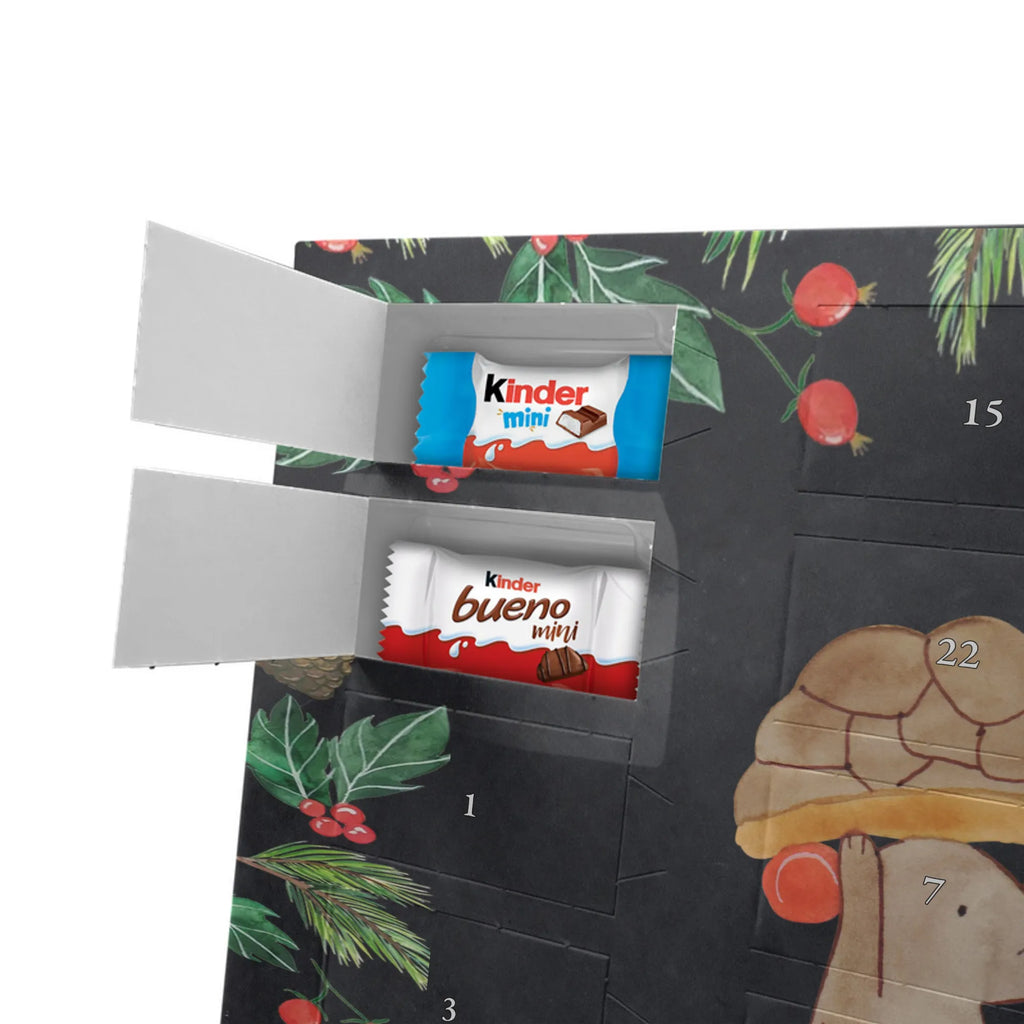 Chocolate advent calendar tortoise Mouse reptile, sister or daughter, sweet, gift ideas, tortoise, turtle gift items, illustrated, best friend, gift, turtle lover, pet turtles, funny turtle gifts, ancient creature, cute, birthday gift, girlfriends, mouse, friends