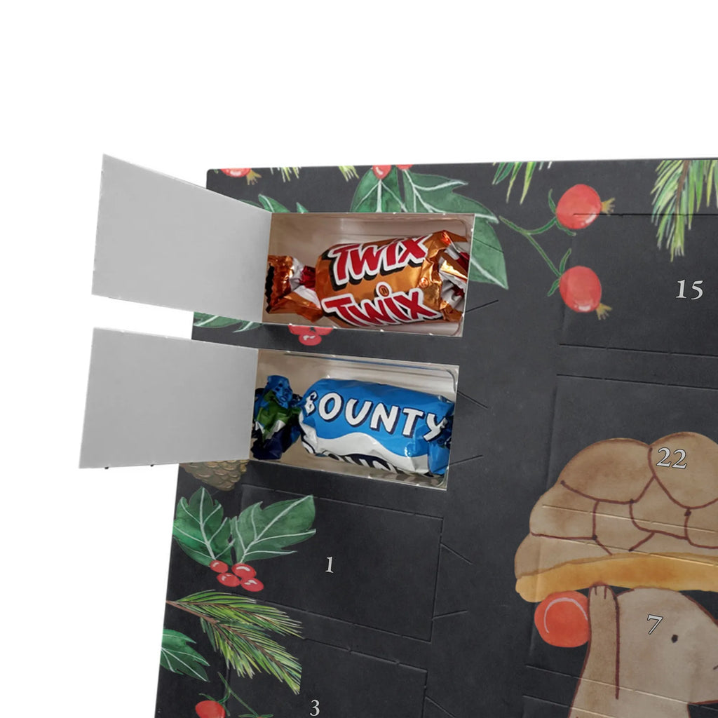Chocolate advent calendar tortoise Mouse reptile, sister or daughter, sweet, gift ideas, tortoise, turtle gift items, illustrated, best friend, gift, turtle lover, pet turtles, funny turtle gifts, ancient creature, cute, birthday gift, girlfriends, mouse, friends