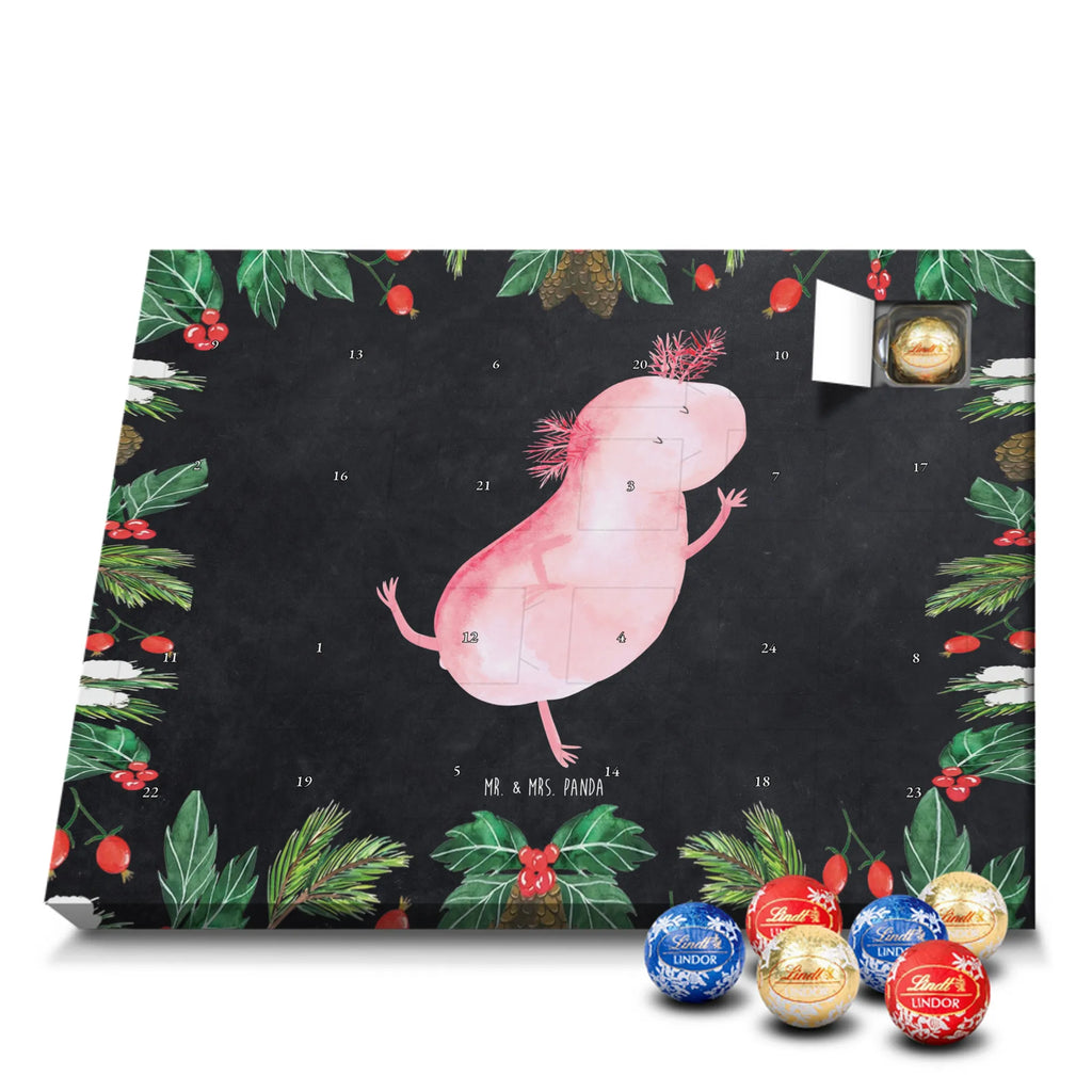 Chocolate advent calendar axolotl Dance Mexican walking fish, Axelotl, marine animals, salamander, stars, roof damage, tailfish, best friend, amphibians, girlfriend