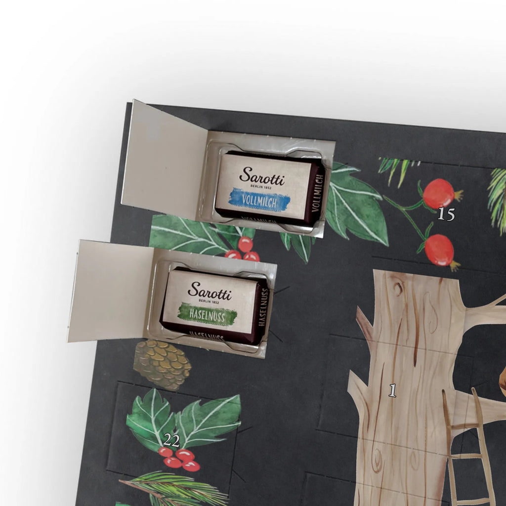 schokolade adventskalender Waldtiere Picknick adventskalender schoko, Weihnachts Kalender, schokokalender, schokoladenkalender, Adventskalender, schoko weihnachtskalender, Weihnachtskalender, Adventskalender Schokolade, kalender schokolade, pralinen adventskalender, Weihnachtskalender Schokolade, adventskalender pralinen, süßigkeiten adventskalender, schokoladen kalender, adventskalender süßigkeiten, süßigkeiten kalender, Schokoladen-Adventskalender, schoko kalender, weihnachtskalender schoko, kalender weihnachten, Schoko Adventskalender, Weihnachten Adventskalender, Schoko-Adventskalender, Schokoladen-Weihnachtskalender, schokolade adventskalender, Schokoladen Adventskalender, Tiere, Tiermotive, Gute Laune, Lustige Sprüche, Maus, Eichhörnchen, Picknick, Hase, Wald, Fuchs, Waldtiere, Igel