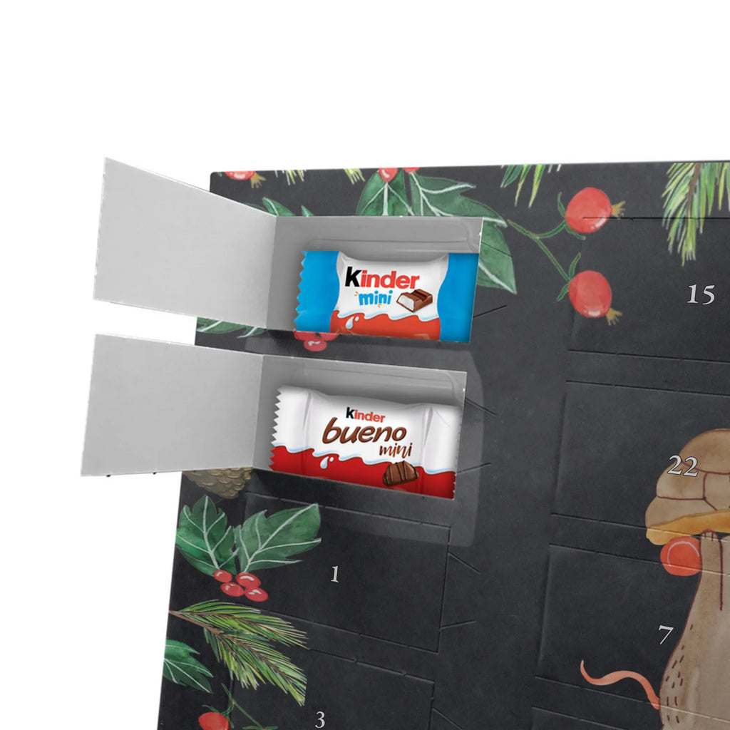 Chocolate advent calendar tortoise Mouse reptile, sister or daughter, sweet, gift ideas, tortoise, turtle gift items, illustrated, best friend, gift, turtle lover, pet turtles, funny turtle gifts, ancient creature, cute, birthday gift, girlfriends, mouse, friends