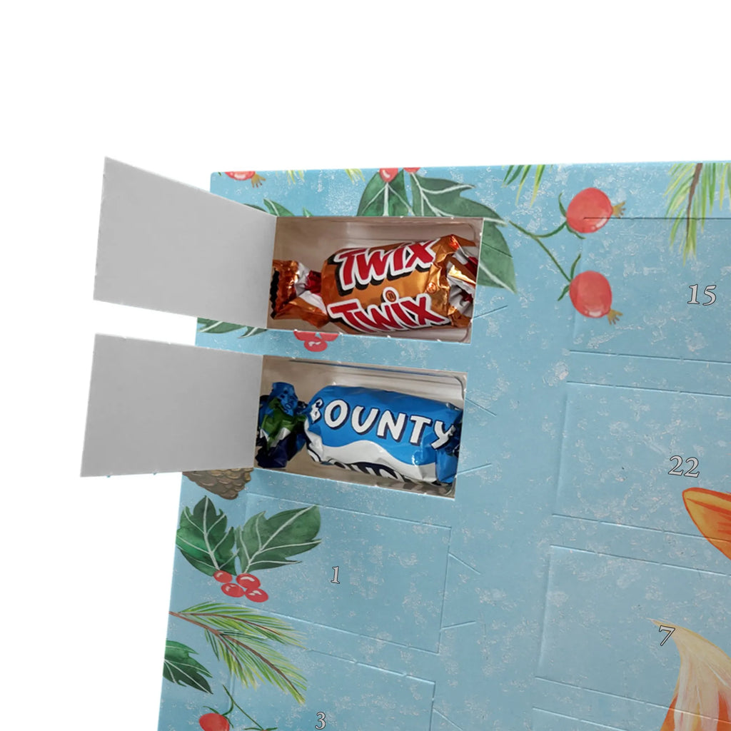 Chocolate advent calendar Fox Singer Christmas time, snow