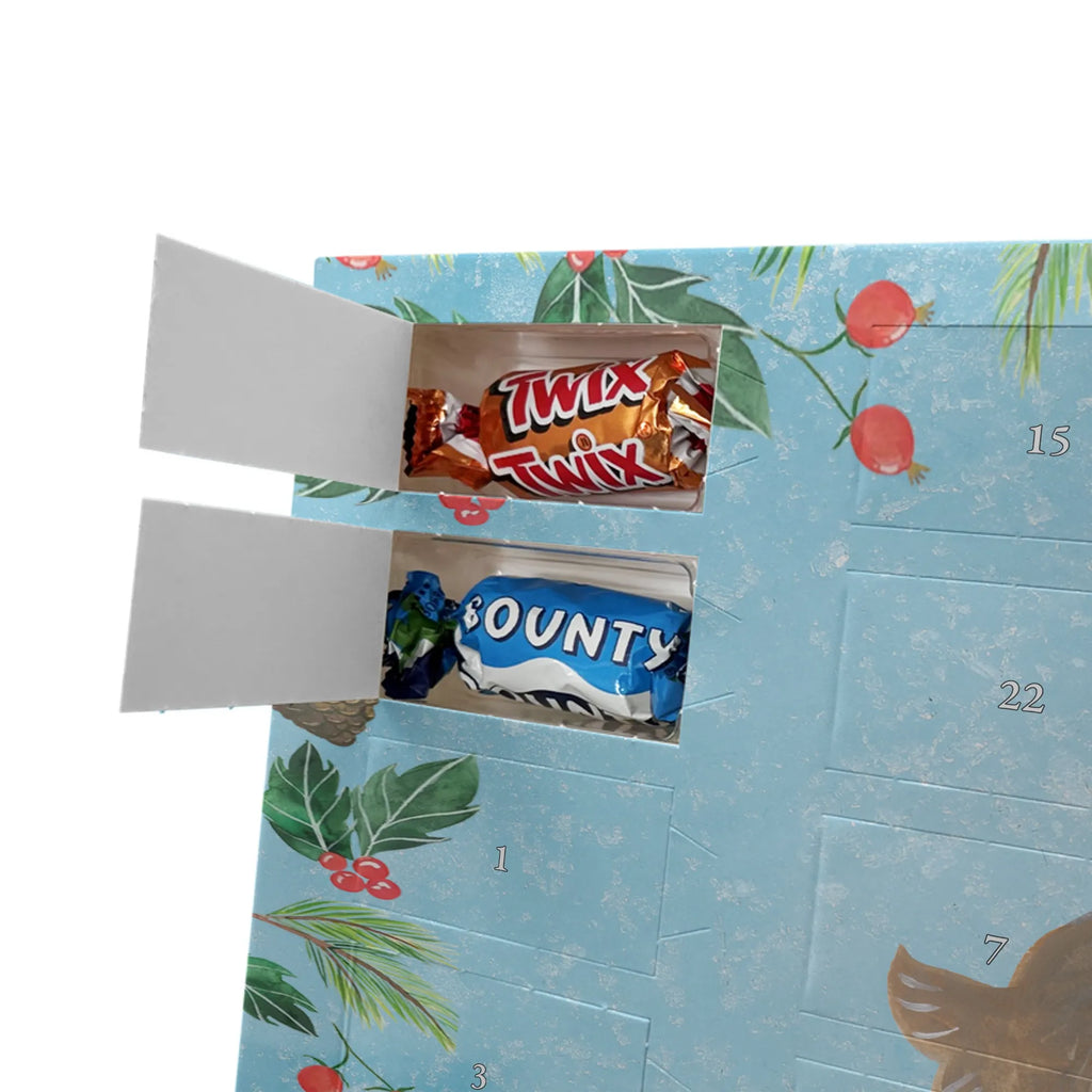 Chocolate advent calendar seal Laugh gift ideas, gifts, small animals, good mood, cute, funny sayings, cute animal motives, hand drawn, special gifts, card, animal lover, Seal, North Sea, Sea animal, Seals, Baltic Sea