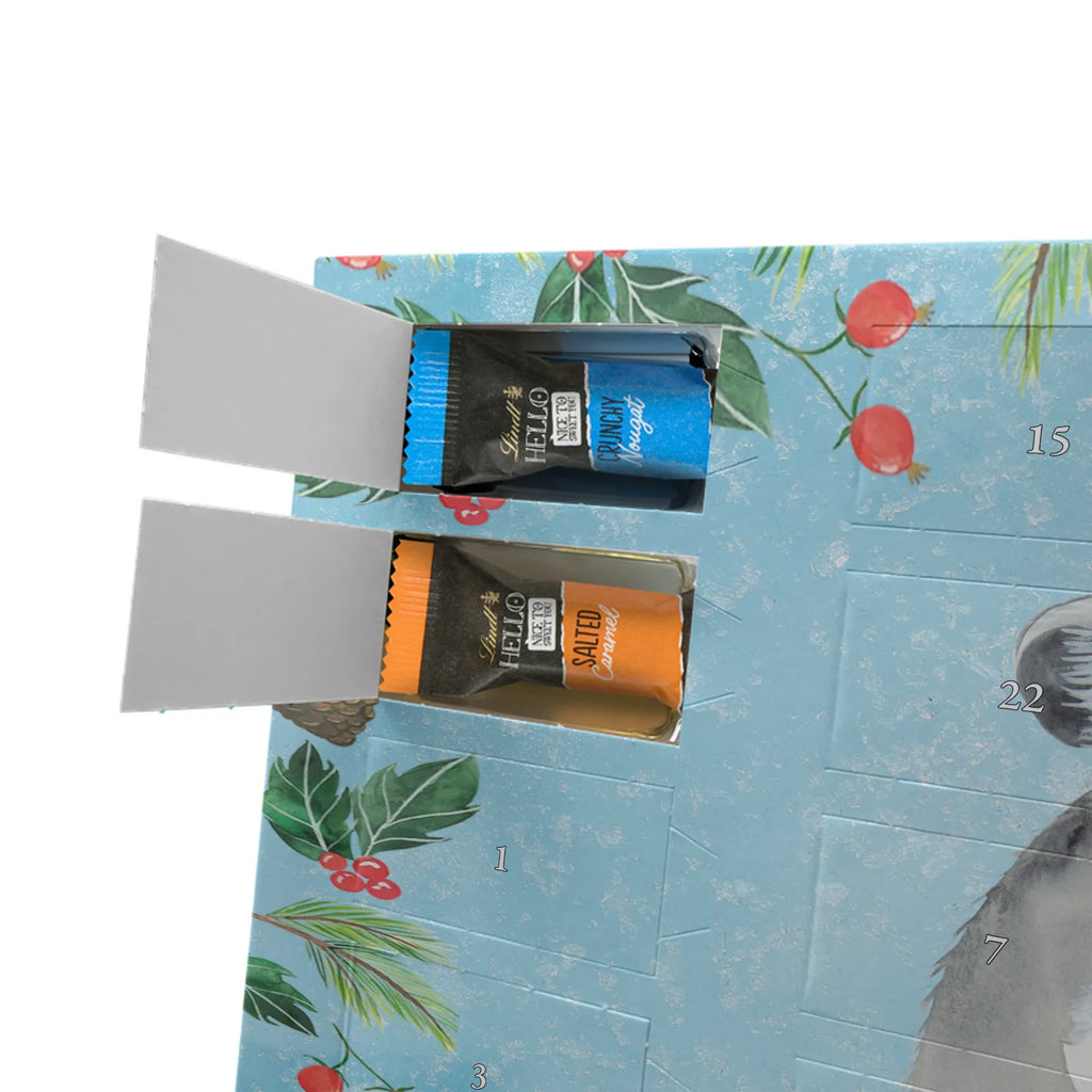 Chocolate advent calendar chinchilla flower gift ideas, gifts, small animals, good mood, cute, funny sayings, cute animal motives, hand drawn, special gifts, card, animal lover, grief, office life, heartache, being sad