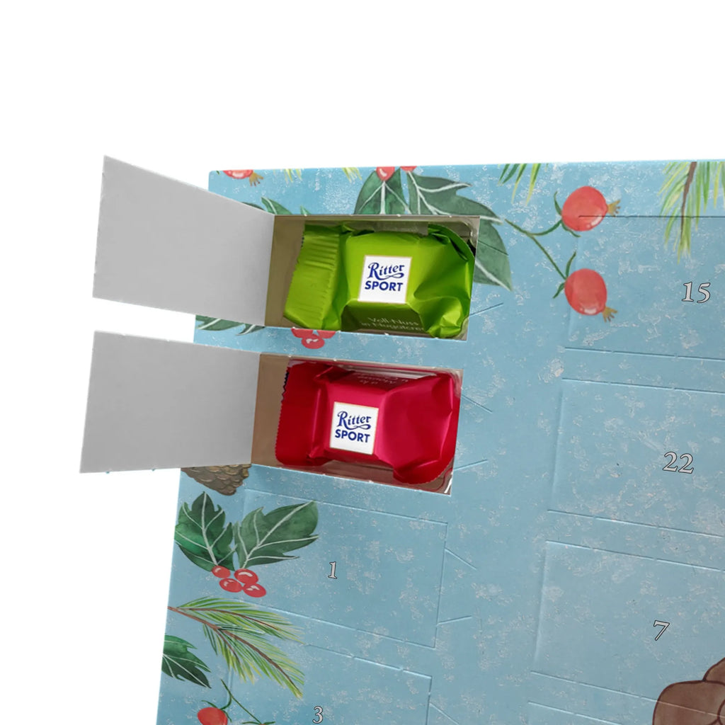 Chocolate advent calendar tortoise Pipes reptile, sister or daughter, sweet, gift ideas, tortoise, turtle gift items, illustrated, best friend, gift, turtle lover, pet turtles, funny turtle gifts, ancient creature, cute, birthday gift, new beginning, joy of life, turtles, separation