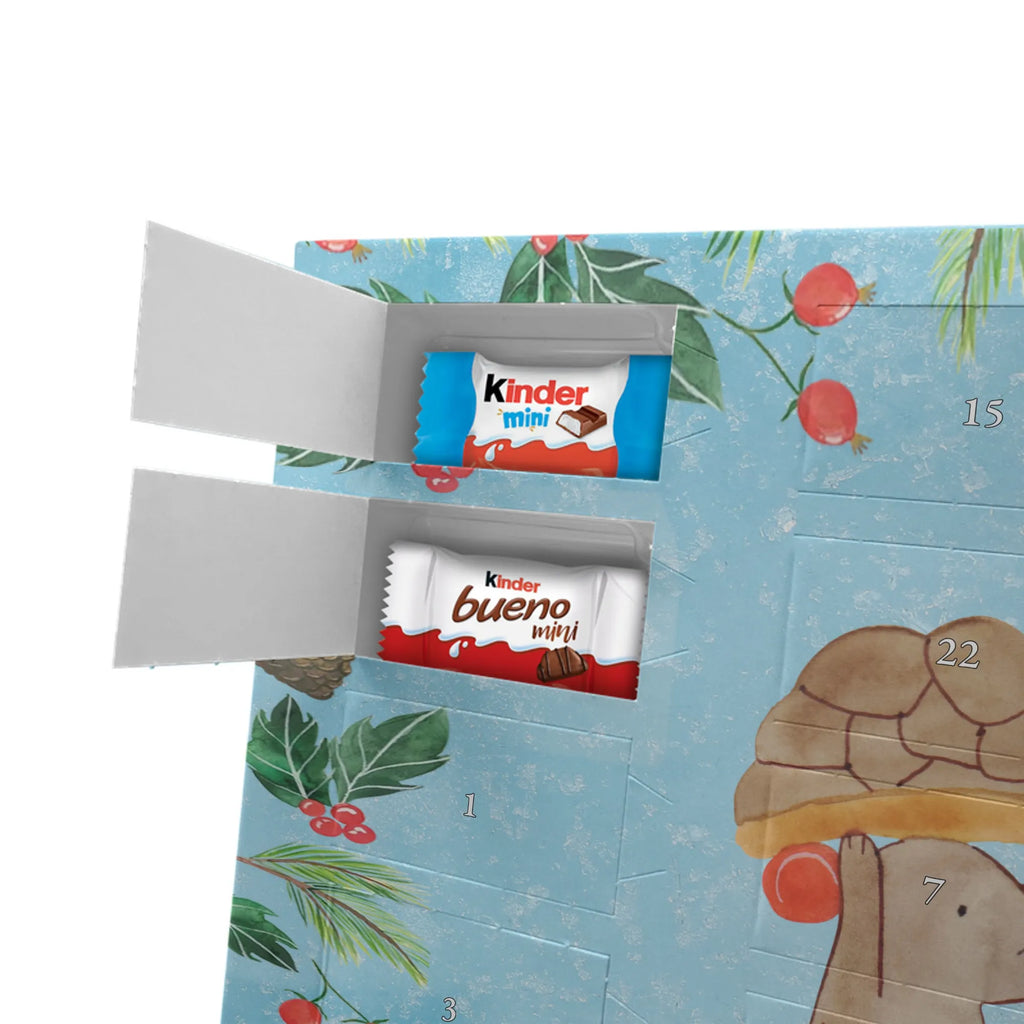 Chocolate advent calendar tortoise Mouse reptile, sister or daughter, sweet, gift ideas, tortoise, turtle gift items, illustrated, best friend, gift, turtle lover, pet turtles, funny turtle gifts, ancient creature, cute, birthday gift, girlfriends, mouse, friends