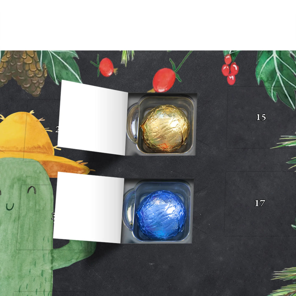 Chocolate advent calendar cactus cap cactus, cactuses, plants, small green cactus, cactus plant, cactus love, travel, gift idea, globetrotter, travel diary, city trip, world trip