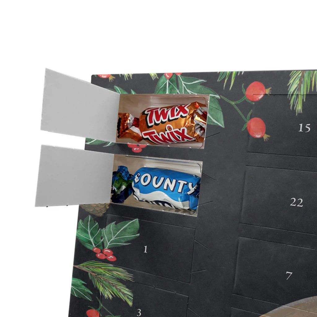 Chocolate advent calendar seal Laugh gift ideas, gifts, small animals, good mood, cute, funny sayings, cute animal motives, hand drawn, special gifts, card, animal lover, Seal, North Sea, Sea animal, Seals, Baltic Sea