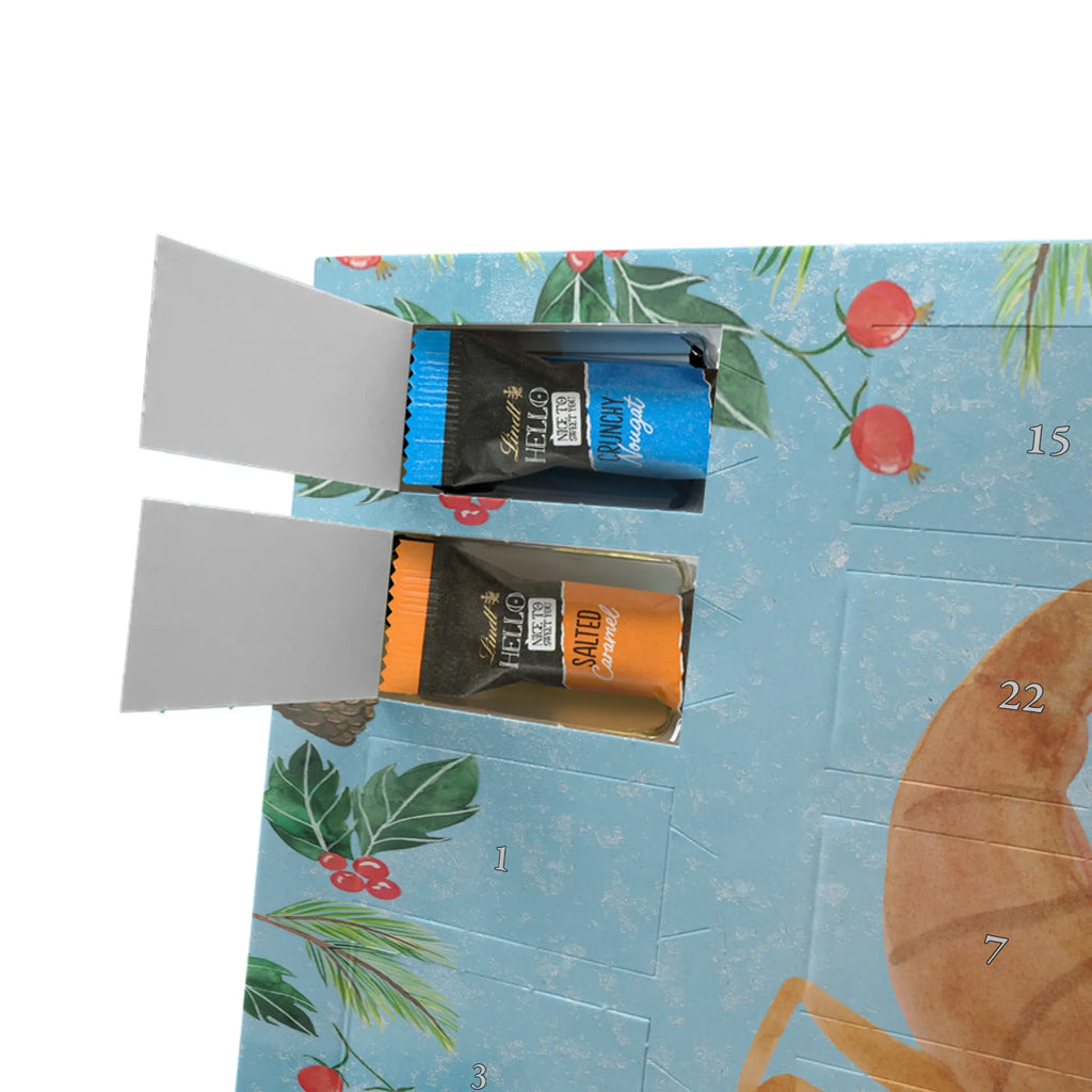 Chocolate advent calendar Star sign Scorpio date of birth, month of birth, constellations, birthdays, astrology, birthday october, scorpion gift, scorpion star sign, scorpions, gift october, birthday november, gift november