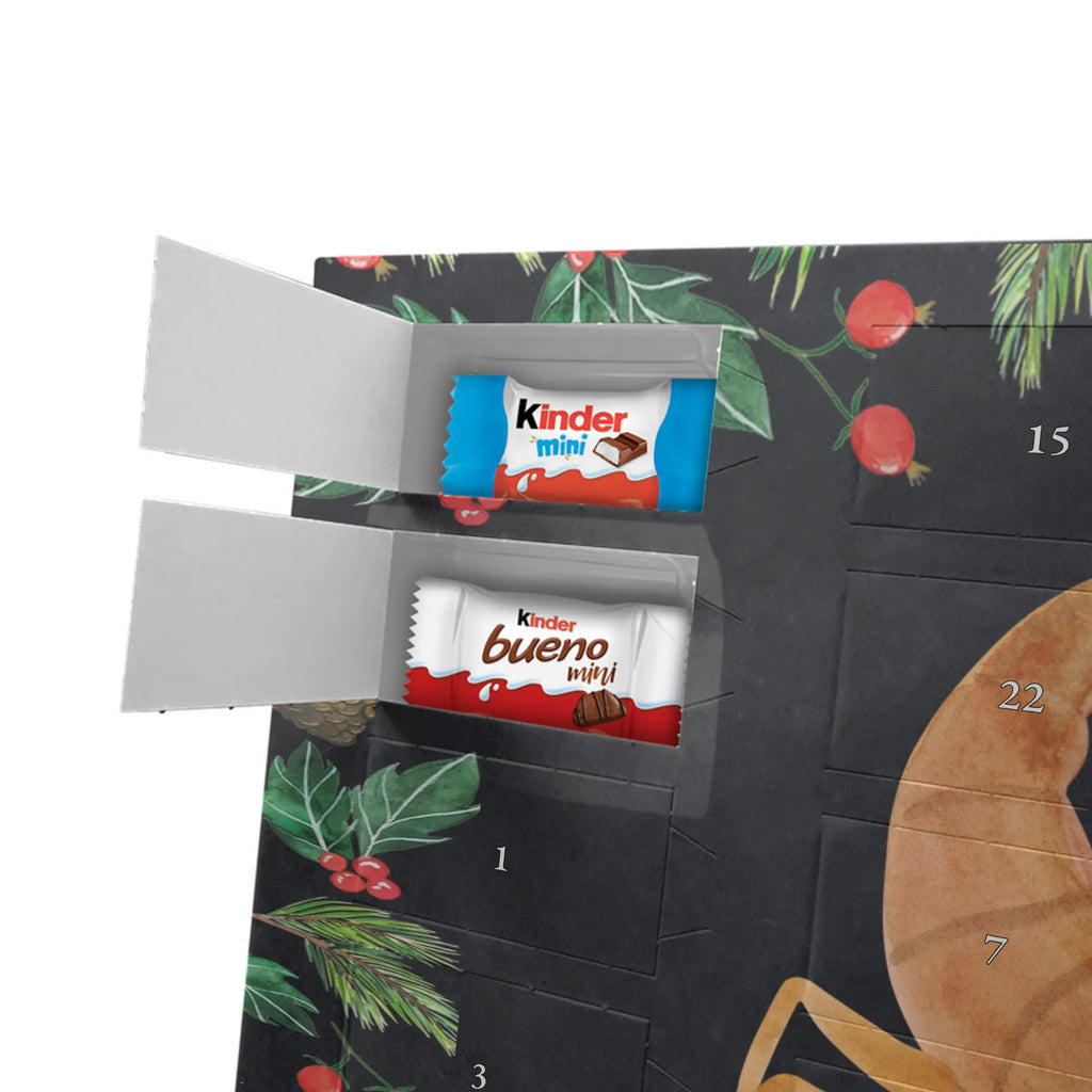 Chocolate advent calendar Star sign Scorpio date of birth, month of birth, constellations, birthdays, astrology, birthday october, scorpion gift, scorpion star sign, scorpions, gift october, birthday november, gift november