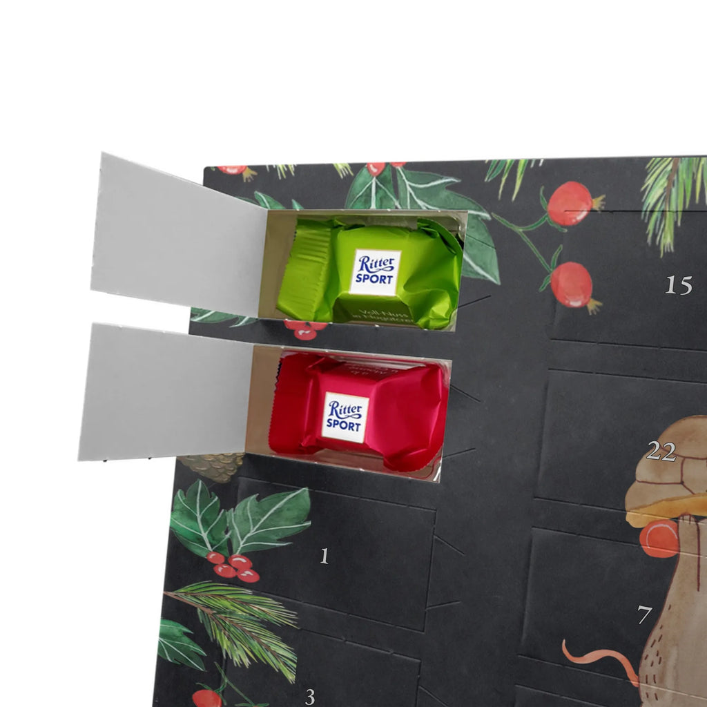 Chocolate advent calendar tortoise Mouse reptile, sister or daughter, sweet, gift ideas, tortoise, turtle gift items, illustrated, best friend, gift, turtle lover, pet turtles, funny turtle gifts, ancient creature, cute, birthday gift, girlfriends, mouse, friends