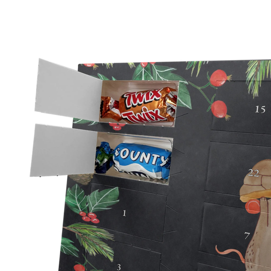 Chocolate advent calendar tortoise Mouse reptile, sister or daughter, sweet, gift ideas, tortoise, turtle gift items, illustrated, best friend, gift, turtle lover, pet turtles, funny turtle gifts, ancient creature, cute, birthday gift, girlfriends, mouse, friends