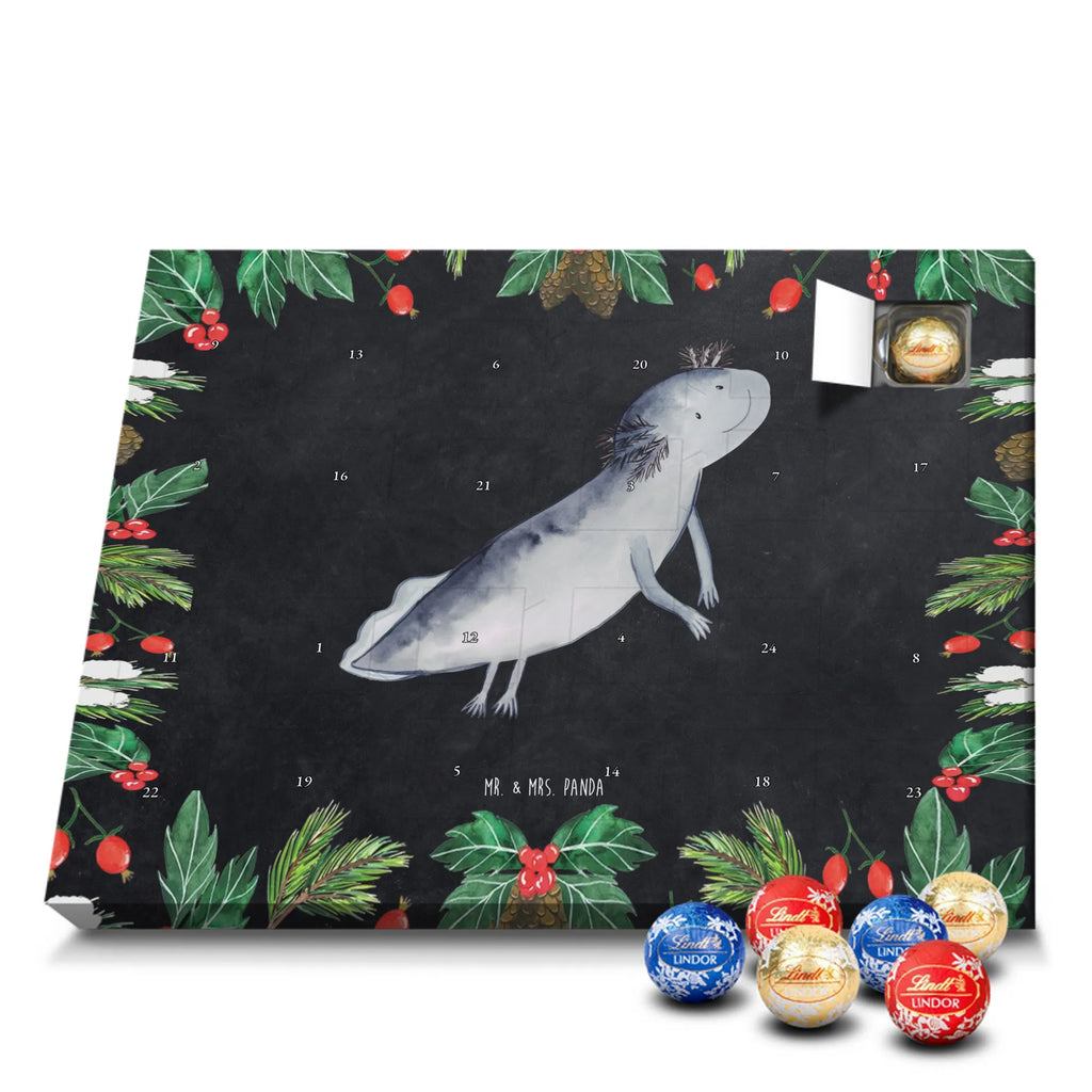 Chocolate advent calendar axolotl To swim Mexican walking fish, Axelotl, marine animals, salamander, amphibians, problems, solutions, tail