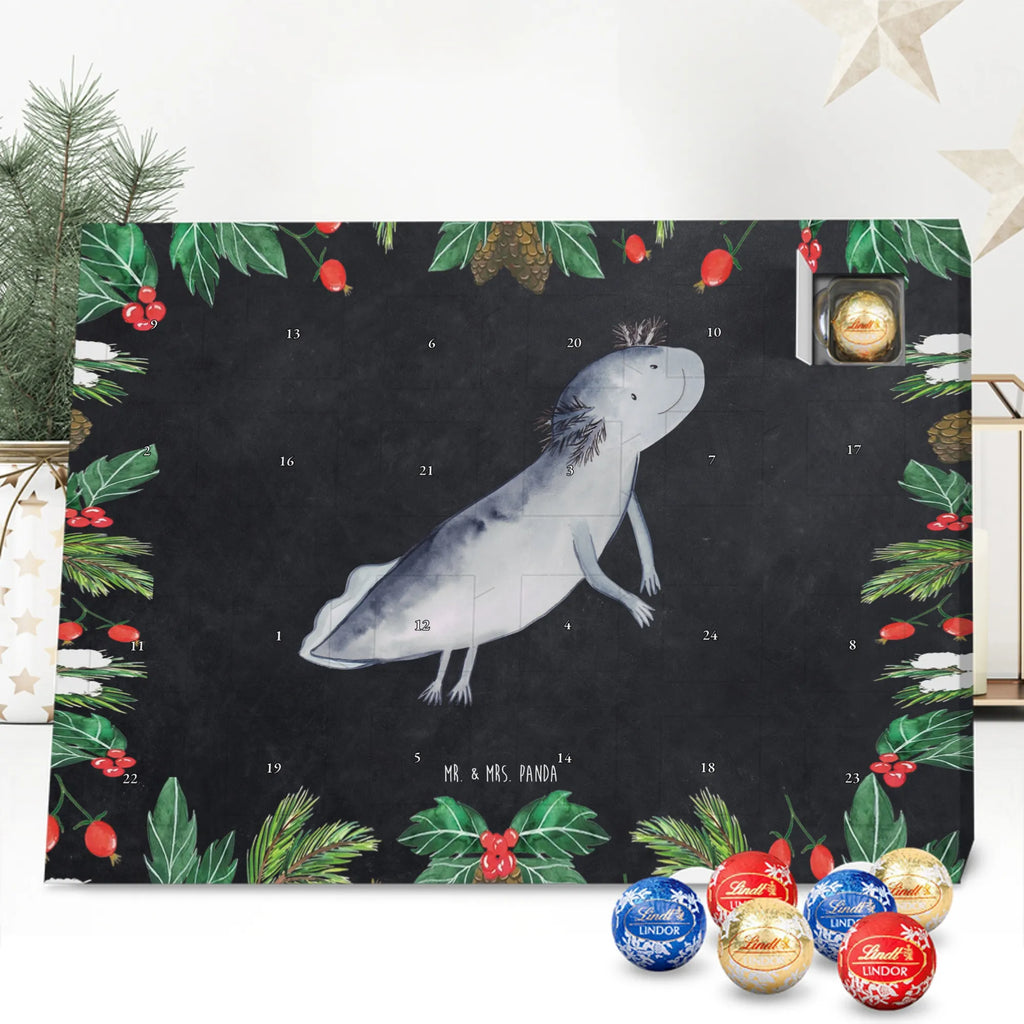 Chocolate advent calendar axolotl To swim Mexican walking fish, Axelotl, marine animals, salamander, amphibians, problems, solutions, tail