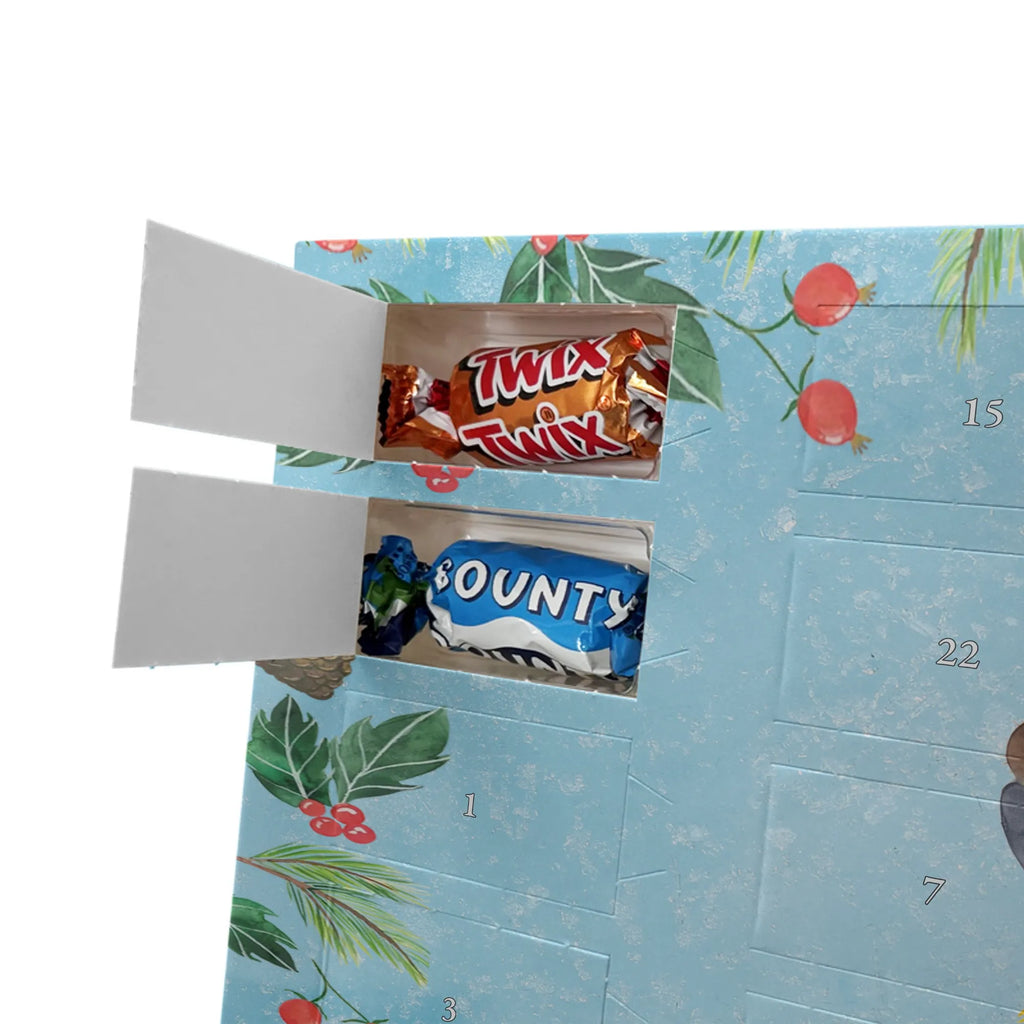 Chocolate advent calendar Penguin coconut North Pole, Penguins, vacation, penguins, coconut