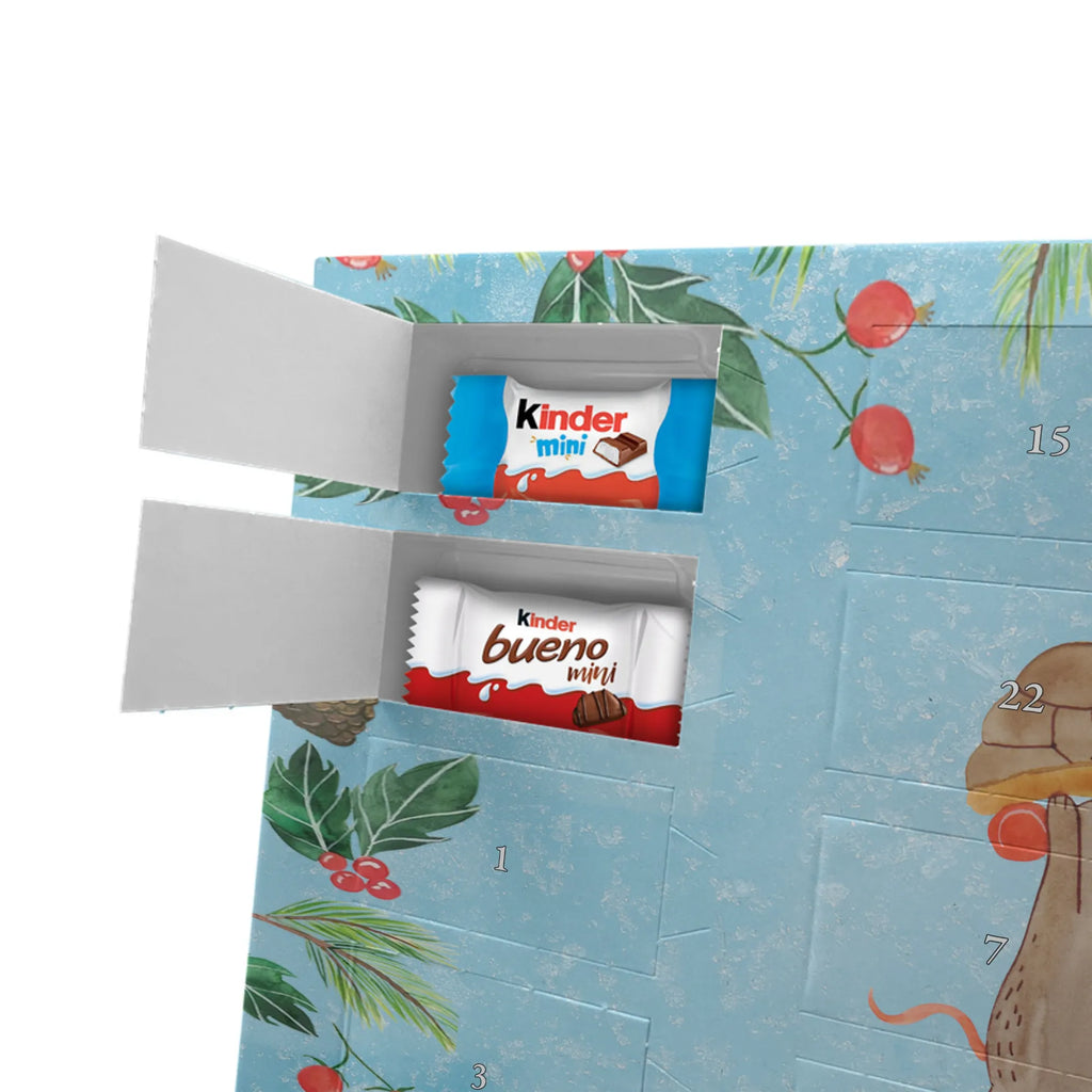 Chocolate advent calendar tortoise Mouse reptile, sister or daughter, sweet, gift ideas, tortoise, turtle gift items, illustrated, best friend, gift, turtle lover, pet turtles, funny turtle gifts, ancient creature, cute, birthday gift, girlfriends, mouse, friends