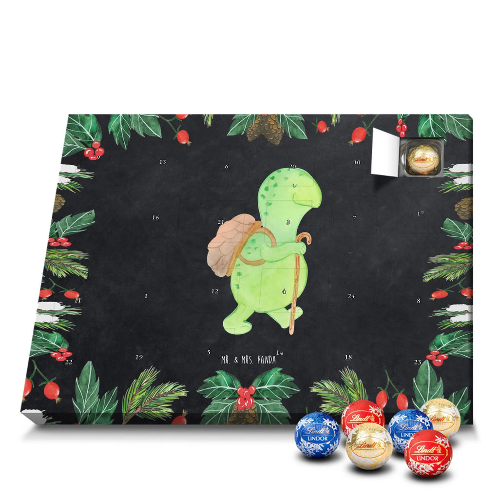Chocolate advent calendar tortoise walker reptile, sister or daughter, sweet, gift ideas, tortoise, turtle gift items, illustrated, best friend, gift, turtle lover, pet turtles, funny turtle gifts, ancient creature, cute, birthday gift, turtles, new beginning, motivational slogan