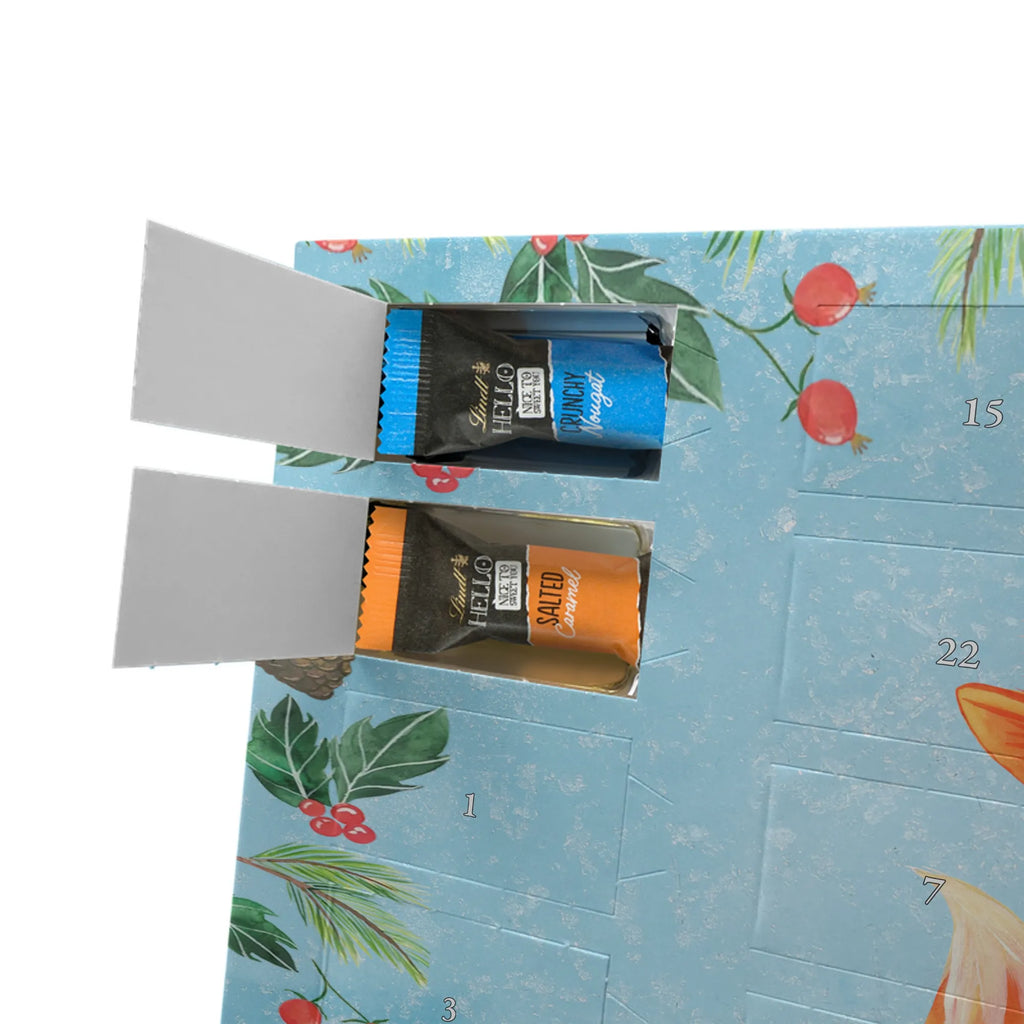 Chocolate advent calendar Fox Singer Christmas time, snow