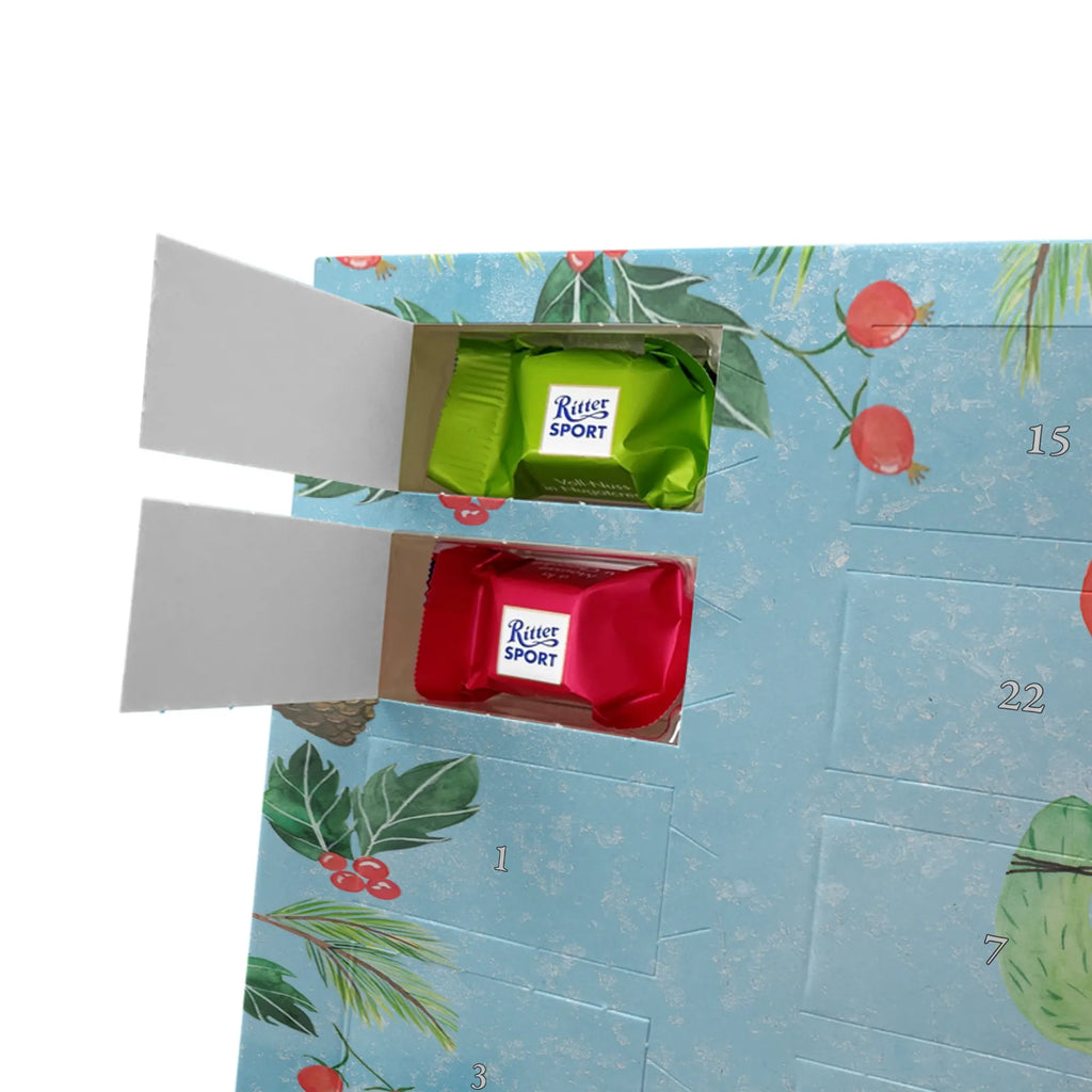 Chocolate advent calendar cactus balloon cactus, cactuses, plants, small green cactus, cactus plant, balloon, joy, boyfriend, new start, office life, cacti, girlfriend, education, exam