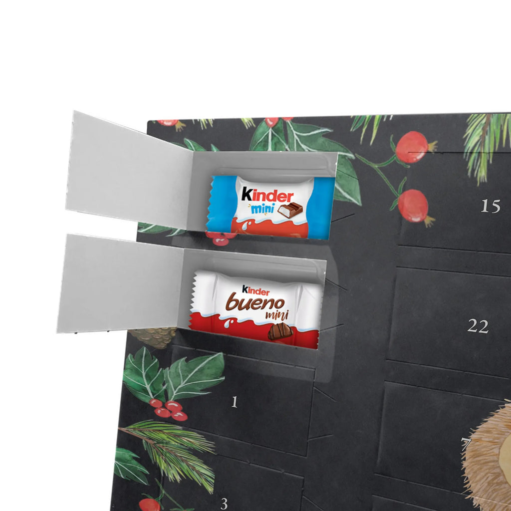 Chocolate advent calendar Hedgehog Pray gift ideas, gifts, small animals, good mood, cute, funny sayings, cute animal motives, hand drawn, special gifts, card, animal lover, pray, God, sun hat, enjoy, hedgehog with hat, gratitude, be grateful