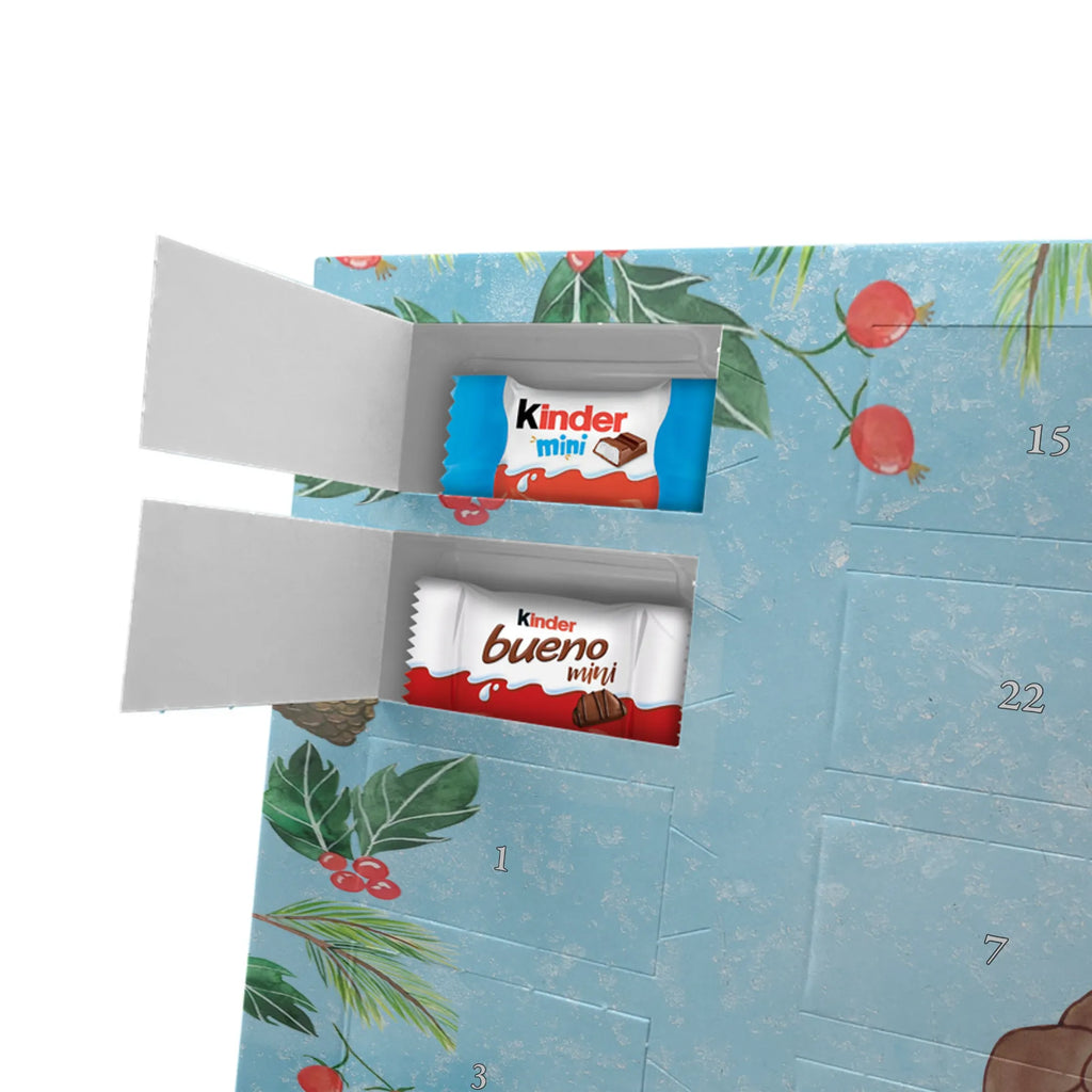 Chocolate advent calendar tortoise Pipes reptile, sister or daughter, sweet, gift ideas, tortoise, turtle gift items, illustrated, best friend, gift, turtle lover, pet turtles, funny turtle gifts, ancient creature, cute, birthday gift, new beginning, joy of life, turtles, separation