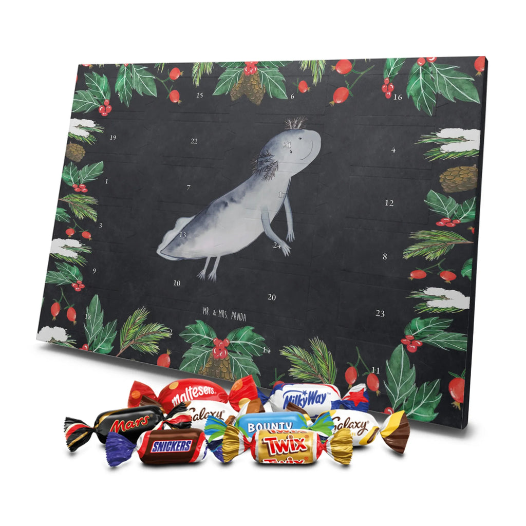 Chocolate advent calendar axolotl To swim Mexican walking fish, Axelotl, marine animals, salamander, amphibians, problems, solutions, tail