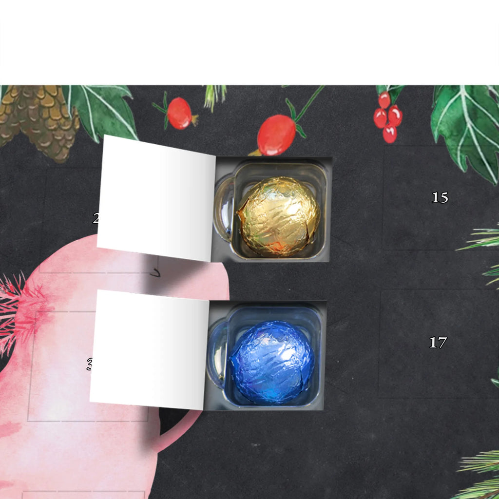 Chocolate advent calendar axolotl Dance Mexican walking fish, Axelotl, marine animals, salamander, stars, roof damage, tailfish, best friend, amphibians, girlfriend