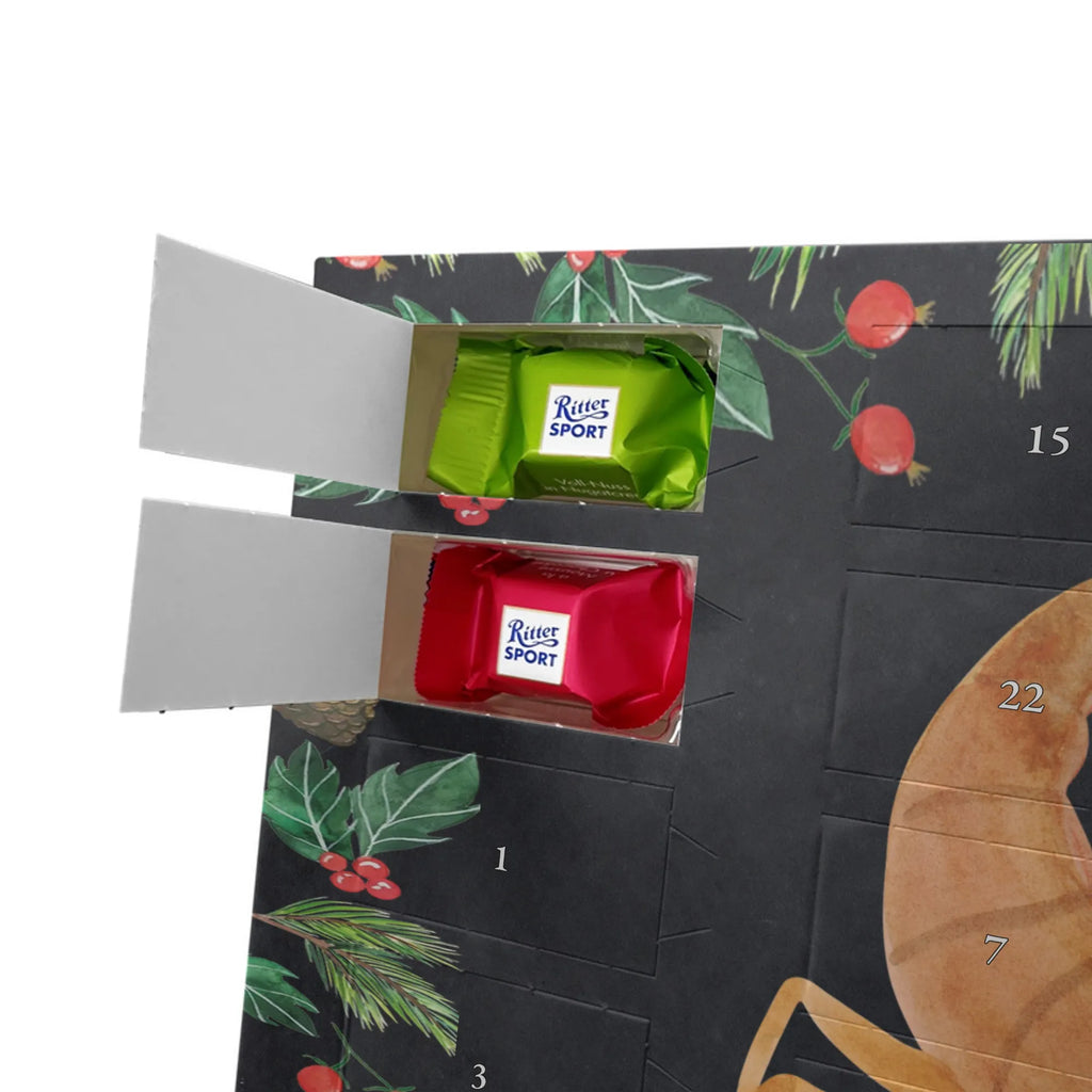 Chocolate advent calendar Star sign Scorpio date of birth, month of birth, constellations, birthdays, astrology, birthday october, scorpion gift, scorpion star sign, scorpions, gift october, birthday november, gift november