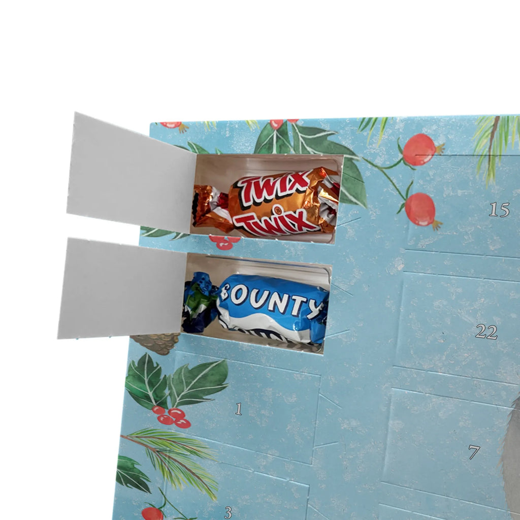 Chocolate advent calendar chinchilla flower gift ideas, gifts, small animals, good mood, cute, funny sayings, cute animal motives, hand drawn, special gifts, card, animal lover, grief, office life, heartache, being sad