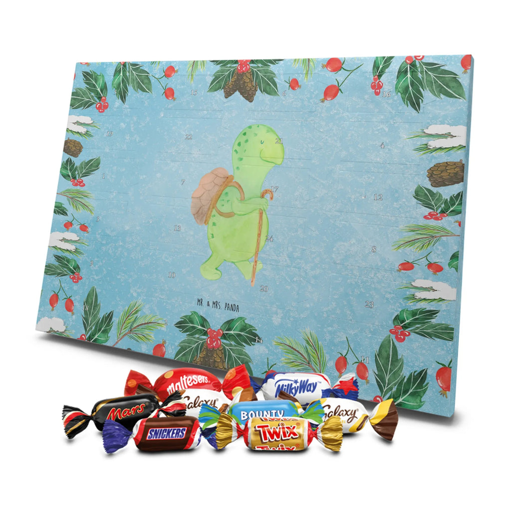 Chocolate advent calendar tortoise walker reptile, sister or daughter, sweet, gift ideas, tortoise, turtle gift items, illustrated, best friend, gift, turtle lover, pet turtles, funny turtle gifts, ancient creature, cute, birthday gift, turtles, new beginning, motivational slogan