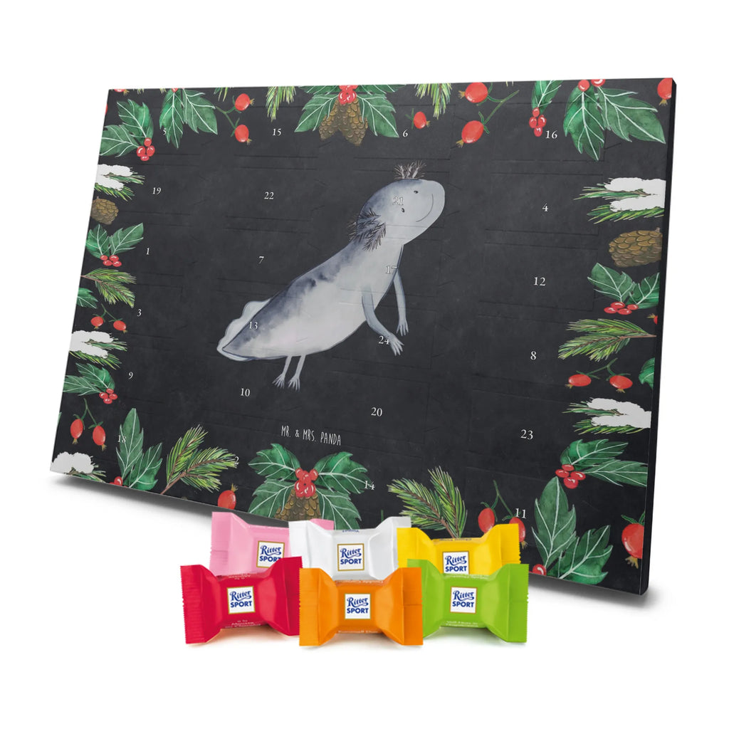 Chocolate advent calendar axolotl To swim Mexican walking fish, Axelotl, marine animals, salamander, amphibians, problems, solutions, tail