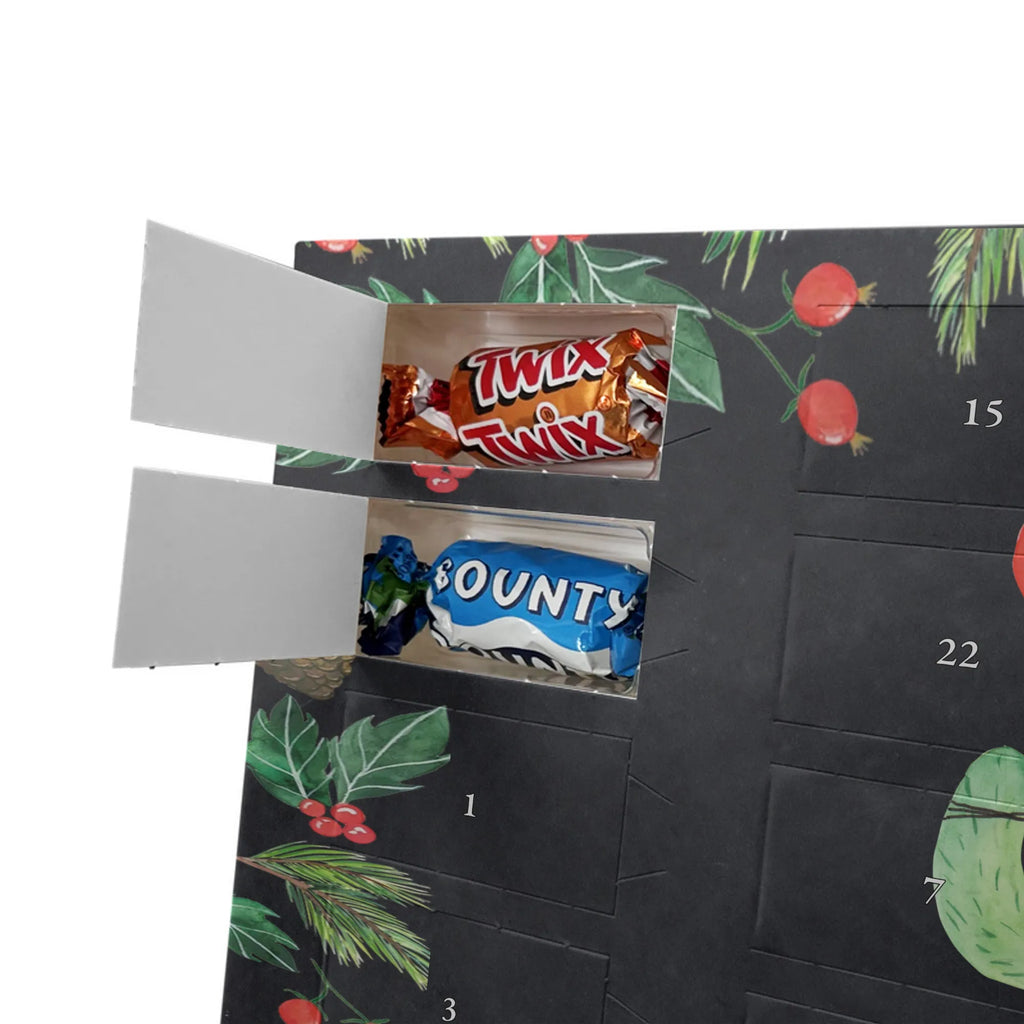 Chocolate advent calendar cactus balloon cactus, cactuses, plants, small green cactus, cactus plant, balloon, joy, boyfriend, new start, office life, cacti, girlfriend, education, exam