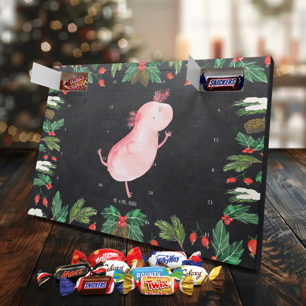 Chocolate advent calendar axolotl Dance Mexican walking fish, Axelotl, marine animals, salamander, stars, roof damage, tailfish, best friend, amphibians, girlfriend