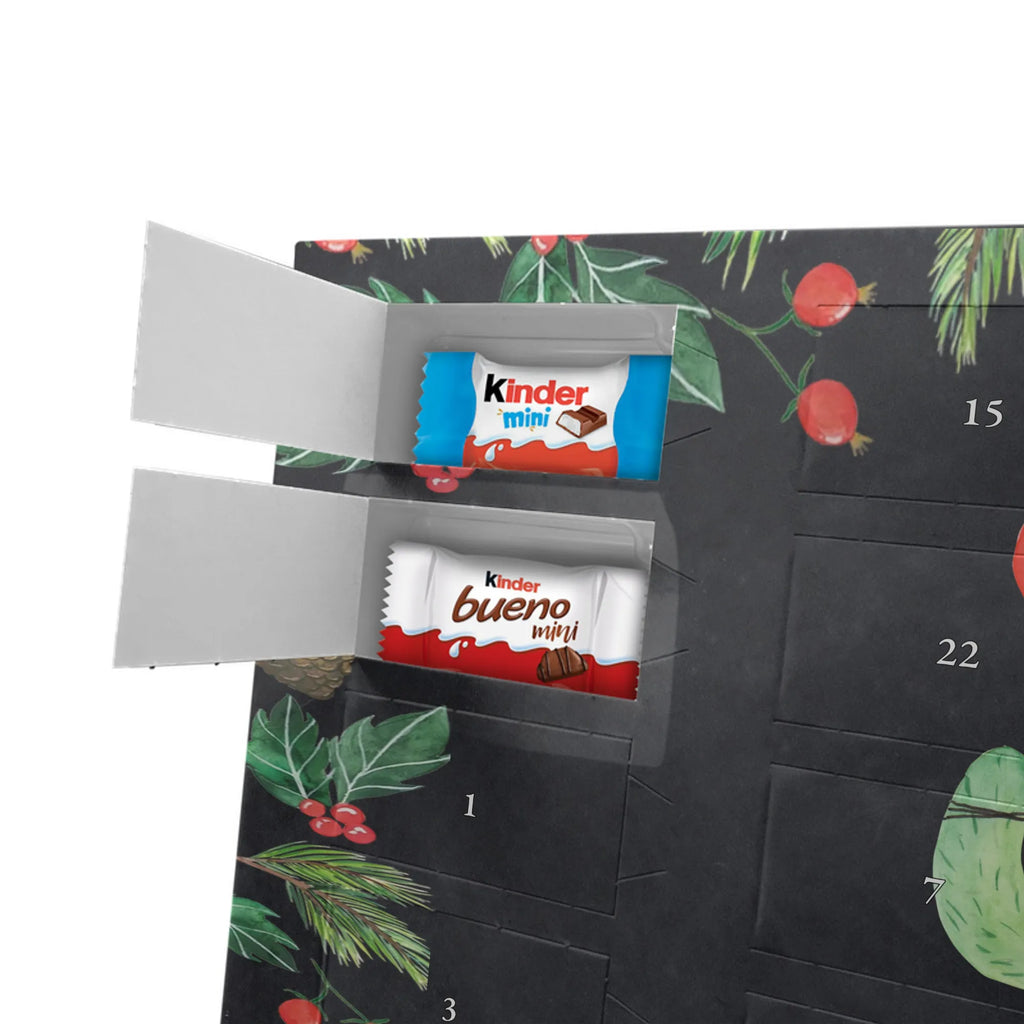 Chocolate advent calendar cactus balloon cactus, cactuses, plants, small green cactus, cactus plant, balloon, joy, boyfriend, new start, office life, cacti, girlfriend, education, exam