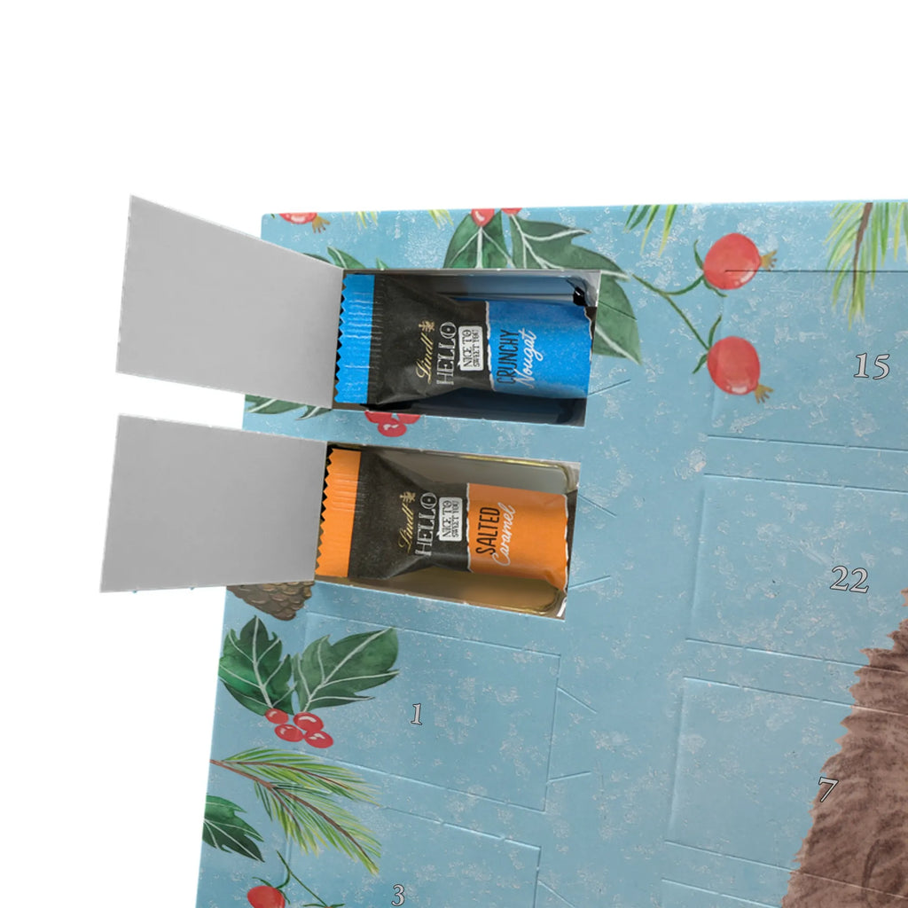 Chocolate advent calendar Hedgehog piece of cake gift ideas, gifts, small animals, good mood, cute, funny sayings, cute animal motives, hand drawn, special gifts, card, animal lover, birthday cake, invitation party, bake cake, food saying, baking gift, cake