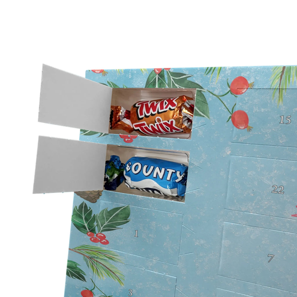 Chocolate advent calendar axolotl Hooray Mexican walking fish, Axelotl, marine animals, salamander, tail, amphibian, joy, satisfaction, cheerful, fun