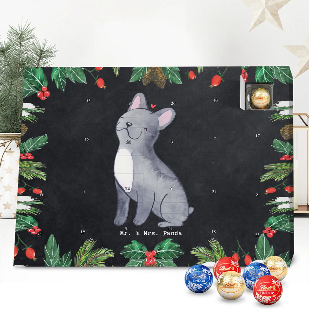 Chocolate advent calendar French Bulldog Moment puppy, dog owner, purebred dog, dog breed, giving, animal lover, gift