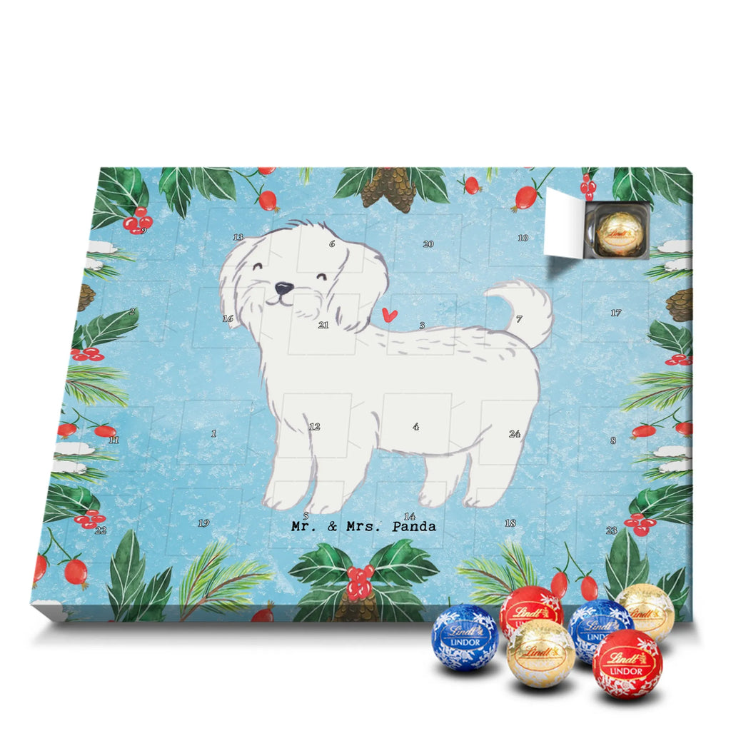 Adventskalender Malteser Moment Weihnachtskalender Schokolade, adventskalender mit pralinen, adventskalender süßigkeiten, weihnachtskalender schoko, Schoko Adventskalender, adventskalender pralinen, schokokalender, pralinen adventskalender, Schokoladen Adventskalender, schoko weihnachtskalender, advent kalender, kalender schokolade, adventskalender mit schokolade, süßigkeiten adventskalender, schoko kalender, Adventskalender Schokolade, süßigkeiten kalender, adventskalender mit süßigkeiten, Weihnachtskalender, Adventskalender, schokoladenkalender, schokolade adventskalender, schokoladen kalender, Welpe, Tierfreund, Hundebesitzer, Rassehund, Hunderasse, Hund, Schenken, Geschenk, Malteser