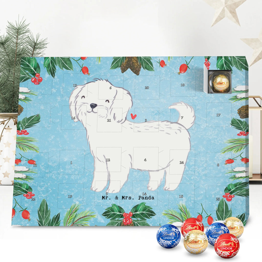 Adventskalender Malteser Moment Weihnachtskalender Schokolade, adventskalender mit pralinen, adventskalender süßigkeiten, weihnachtskalender schoko, Schoko Adventskalender, adventskalender pralinen, schokokalender, pralinen adventskalender, Schokoladen Adventskalender, schoko weihnachtskalender, advent kalender, kalender schokolade, adventskalender mit schokolade, süßigkeiten adventskalender, schoko kalender, Adventskalender Schokolade, süßigkeiten kalender, adventskalender mit süßigkeiten, Weihnachtskalender, Adventskalender, schokoladenkalender, schokolade adventskalender, schokoladen kalender, Welpe, Tierfreund, Hundebesitzer, Rassehund, Hunderasse, Hund, Schenken, Geschenk, Malteser