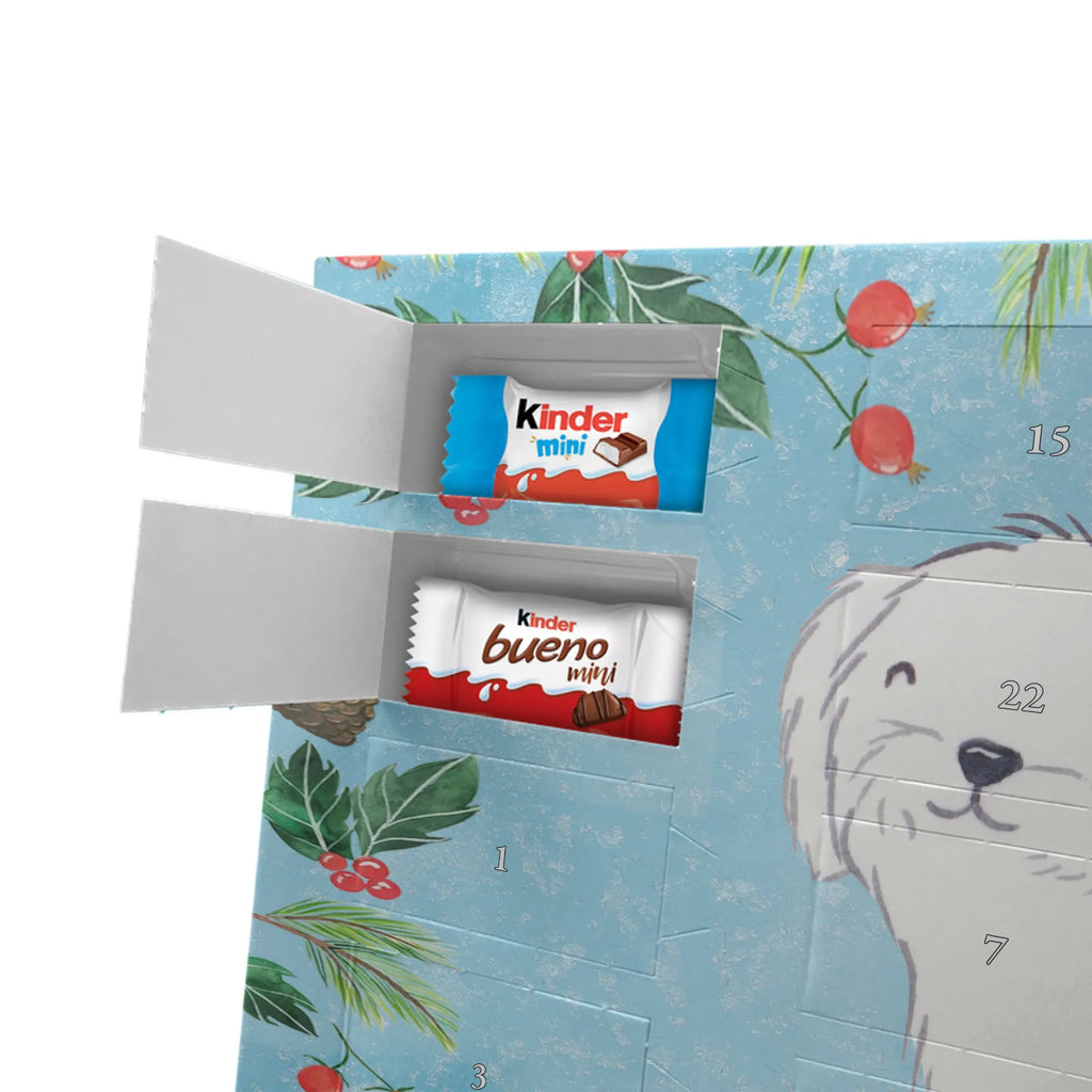 Adventskalender Malteser Moment Weihnachtskalender Schokolade, adventskalender mit pralinen, adventskalender süßigkeiten, weihnachtskalender schoko, Schoko Adventskalender, adventskalender pralinen, schokokalender, pralinen adventskalender, Schokoladen Adventskalender, schoko weihnachtskalender, advent kalender, kalender schokolade, adventskalender mit schokolade, süßigkeiten adventskalender, schoko kalender, Adventskalender Schokolade, süßigkeiten kalender, adventskalender mit süßigkeiten, Weihnachtskalender, Adventskalender, schokoladenkalender, schokolade adventskalender, schokoladen kalender, Welpe, Tierfreund, Hundebesitzer, Rassehund, Hunderasse, Hund, Schenken, Geschenk, Malteser