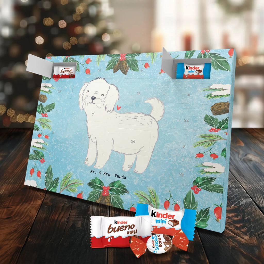 Adventskalender Malteser Moment Weihnachtskalender Schokolade, adventskalender mit pralinen, adventskalender süßigkeiten, weihnachtskalender schoko, Schoko Adventskalender, adventskalender pralinen, schokokalender, pralinen adventskalender, Schokoladen Adventskalender, schoko weihnachtskalender, advent kalender, kalender schokolade, adventskalender mit schokolade, süßigkeiten adventskalender, schoko kalender, Adventskalender Schokolade, süßigkeiten kalender, adventskalender mit süßigkeiten, Weihnachtskalender, Adventskalender, schokoladenkalender, schokolade adventskalender, schokoladen kalender, Welpe, Tierfreund, Hundebesitzer, Rassehund, Hunderasse, Hund, Schenken, Geschenk, Malteser