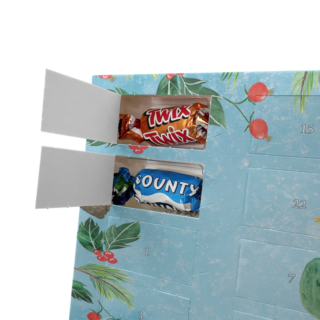 Chocolate advent calendar cactus cap cactus, cactuses, plants, small green cactus, cactus plant, cactus love, travel, gift idea, globetrotter, travel diary, city trip, world trip