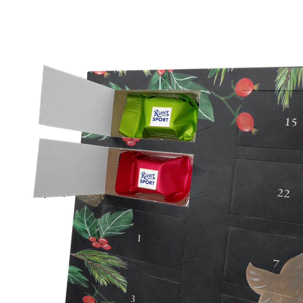 Chocolate advent calendar seal Laugh gift ideas, gifts, small animals, good mood, cute, funny sayings, cute animal motives, hand drawn, special gifts, card, animal lover, Seal, North Sea, Sea animal, Seals, Baltic Sea