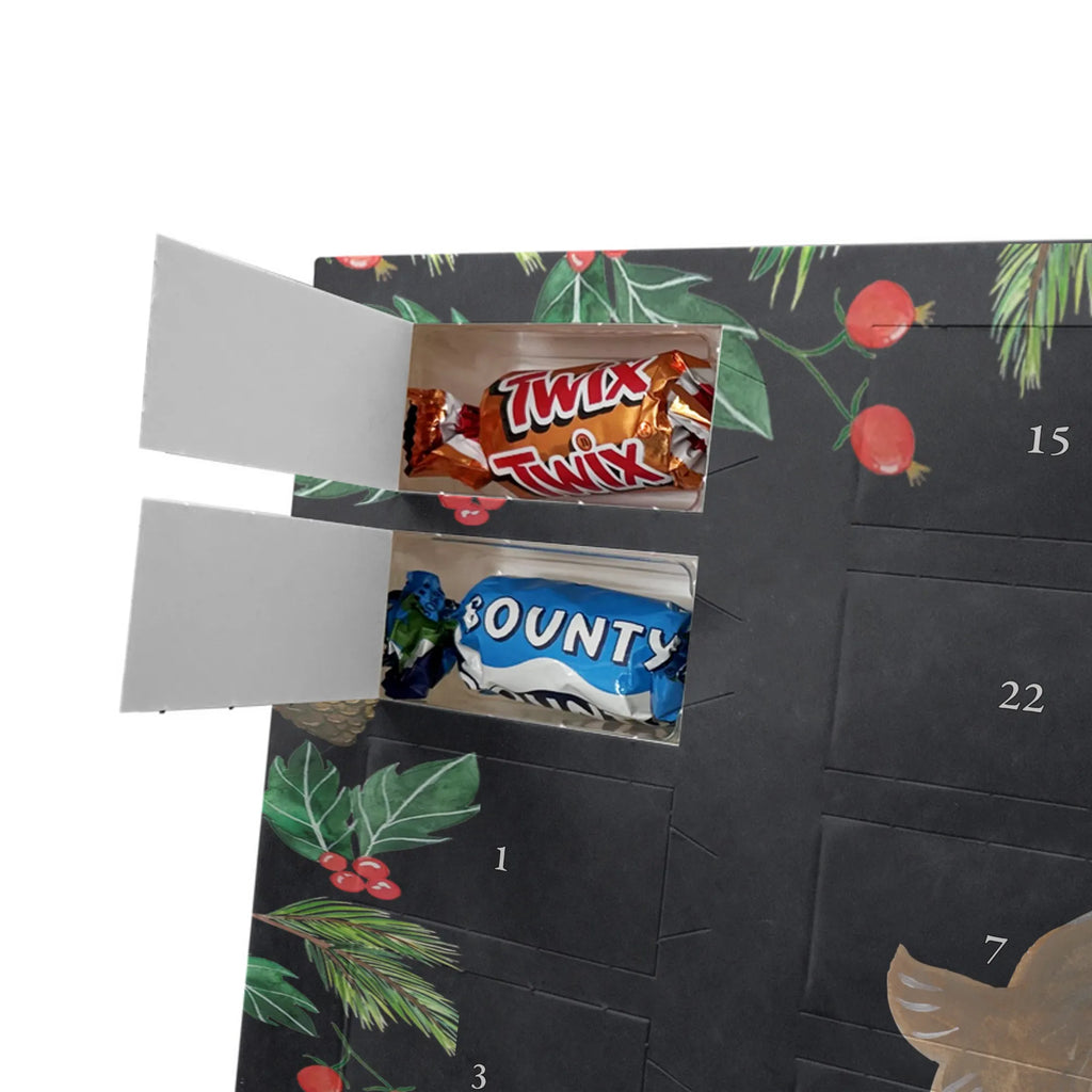 Chocolate advent calendar seal Laugh gift ideas, gifts, small animals, good mood, cute, funny sayings, cute animal motives, hand drawn, special gifts, card, animal lover, Seal, North Sea, Sea animal, Seals, Baltic Sea