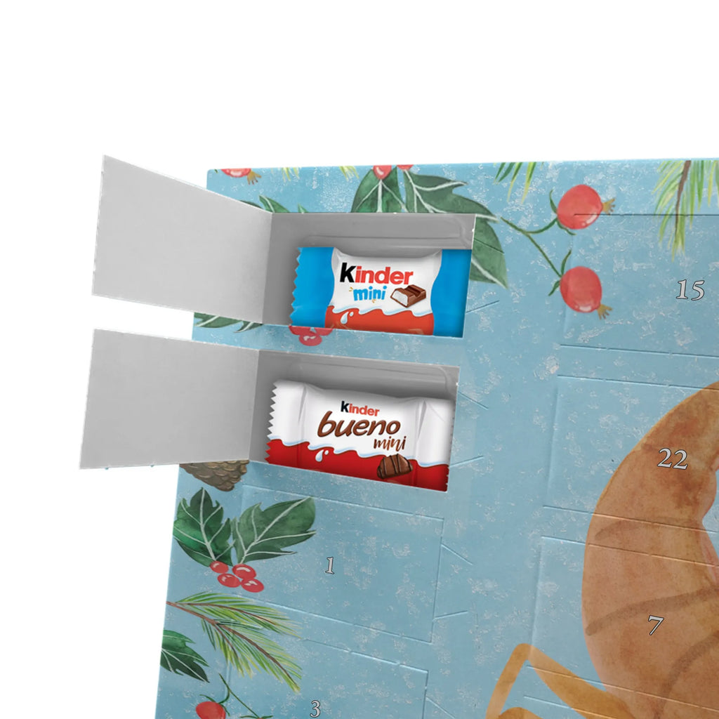 Chocolate advent calendar Star sign Scorpio date of birth, month of birth, constellations, birthdays, astrology, birthday october, scorpion gift, scorpion star sign, scorpions, gift october, birthday november, gift november