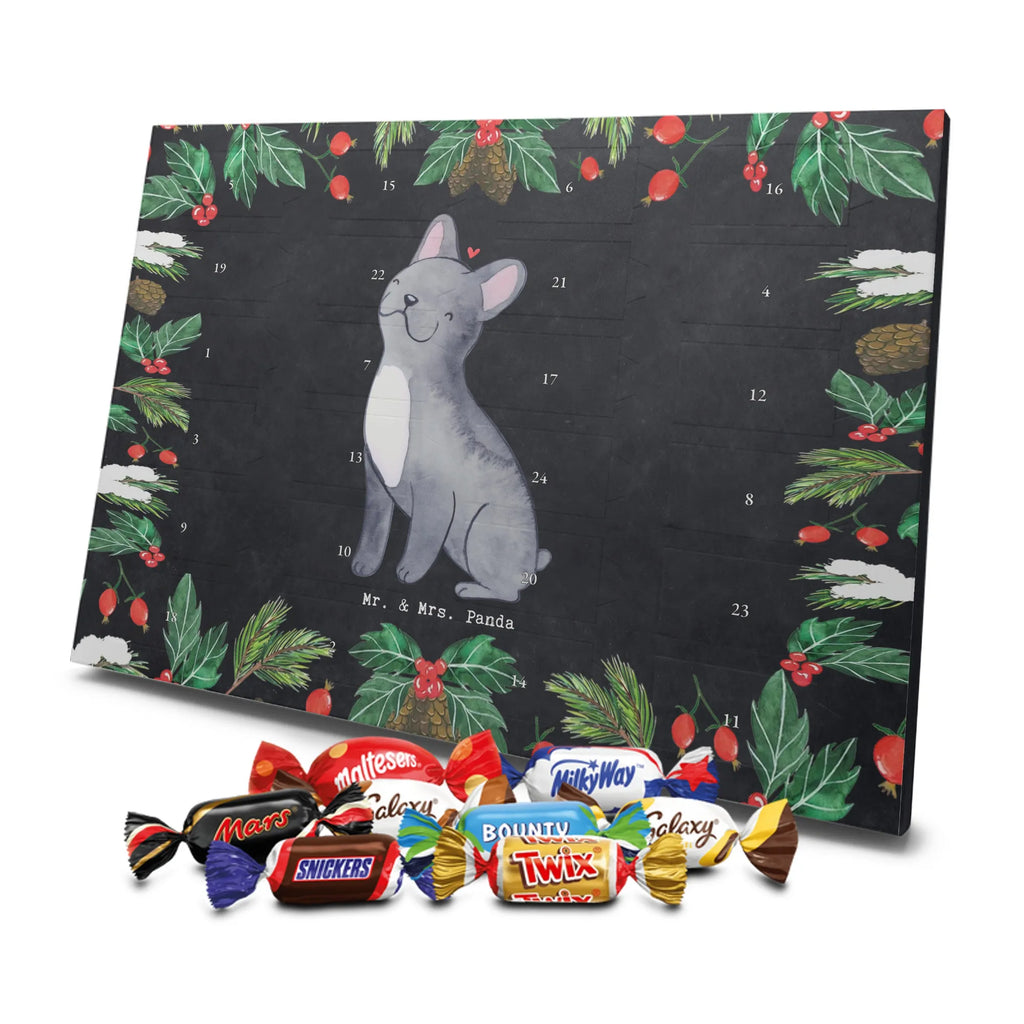 Chocolate advent calendar French Bulldog Moment puppy, dog owner, purebred dog, dog breed, giving, animal lover, gift