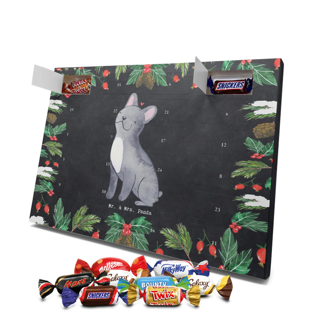 Chocolate advent calendar French Bulldog Moment puppy, dog owner, purebred dog, dog breed, giving, animal lover, gift