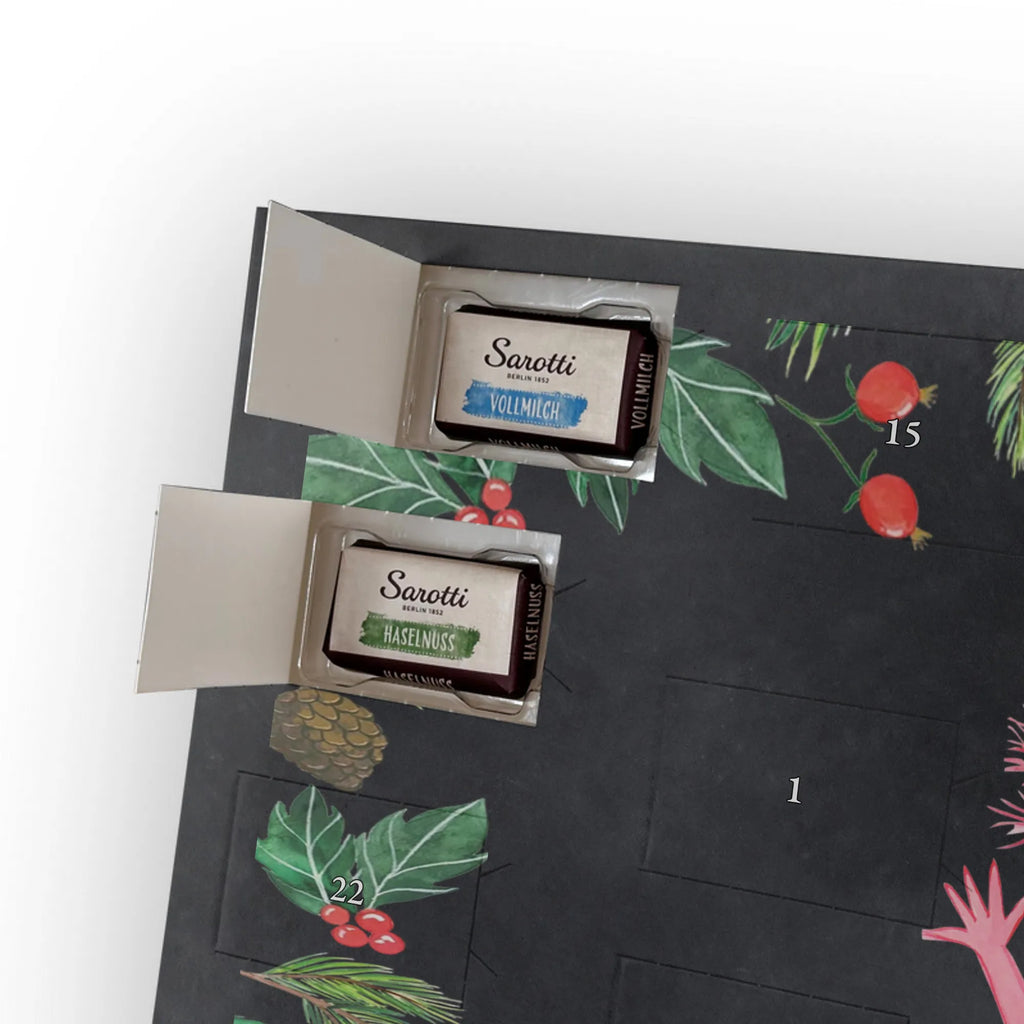 Chocolate advent calendar axolotl Hooray Mexican walking fish, Axelotl, marine animals, salamander, tail, amphibian, joy, satisfaction, cheerful, fun