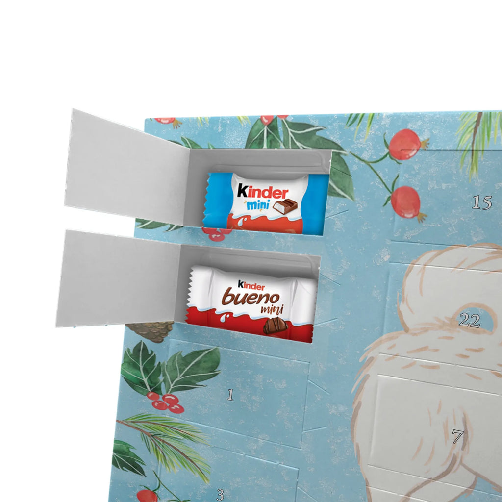 Chocolate advent calendar Maltipoo Moment puppy, dog owner, purebred dog, dog breed, giving, animal lover, gift