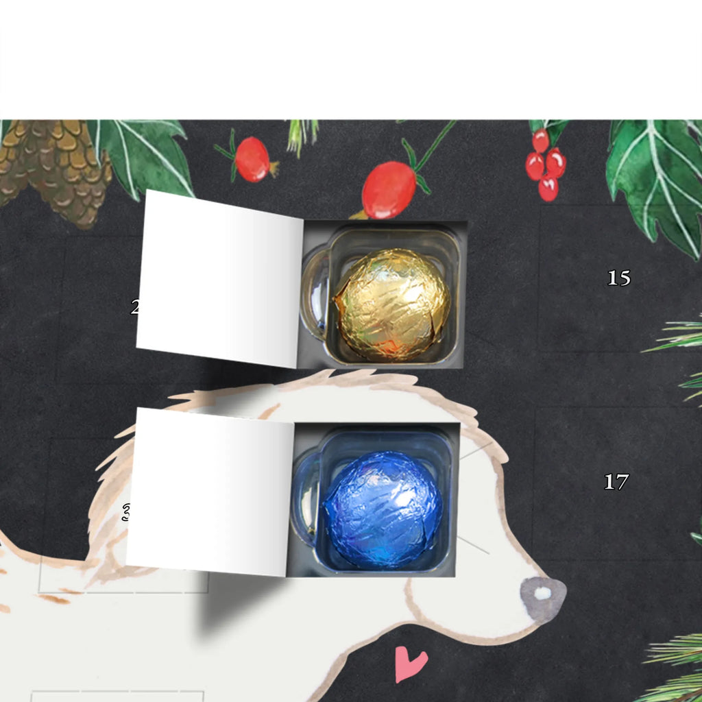 Chocolate advent calendar Maltipoo Moment puppy, dog owner, purebred dog, dog breed, giving, animal lover, gift